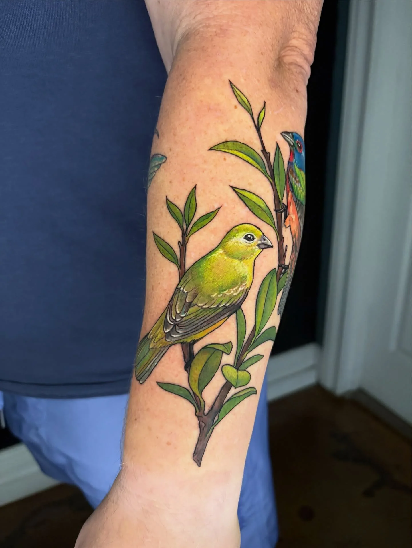 Painted buntings by @tattoosbydaryle