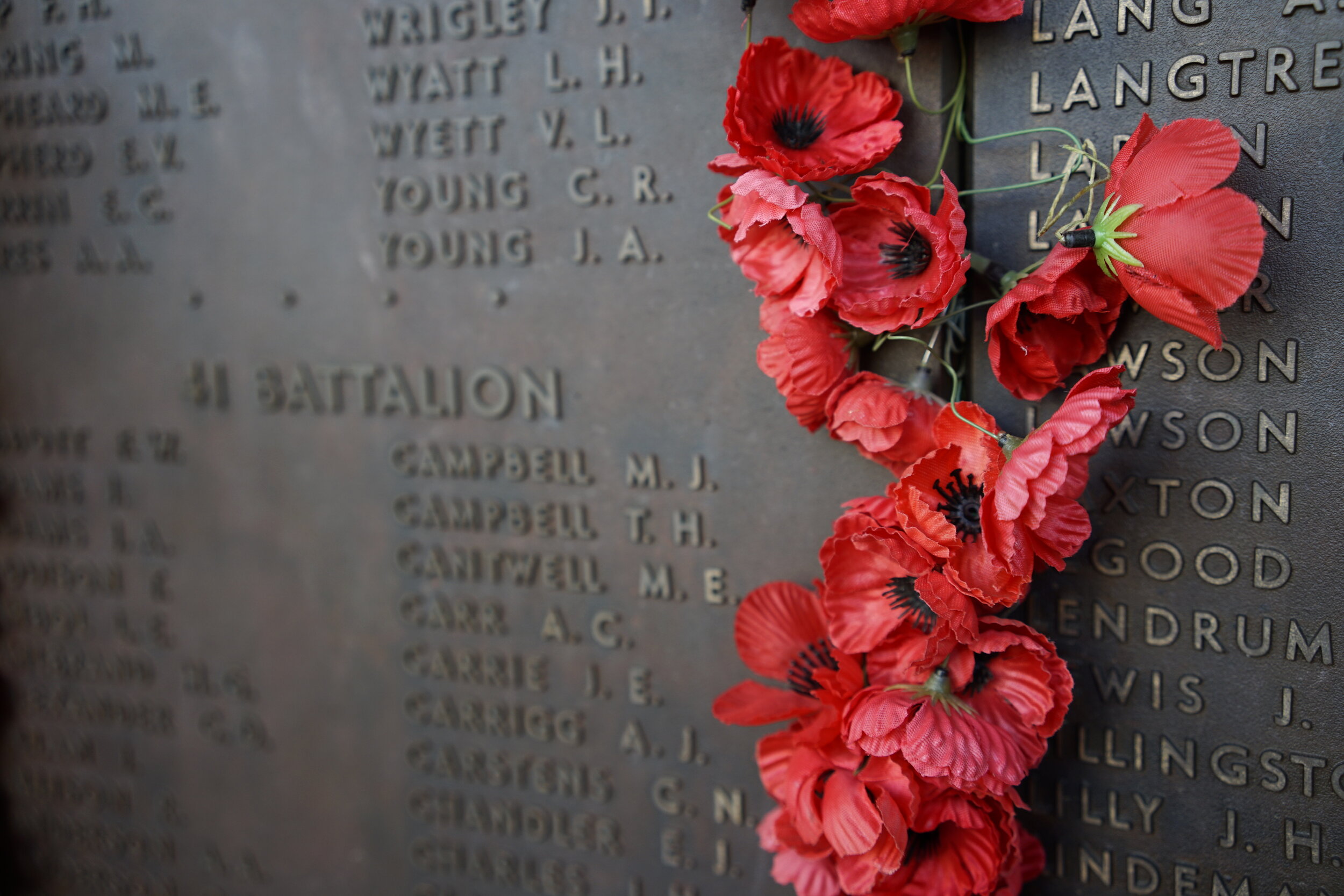 Help us Light Up the Dawn this Anzac Day