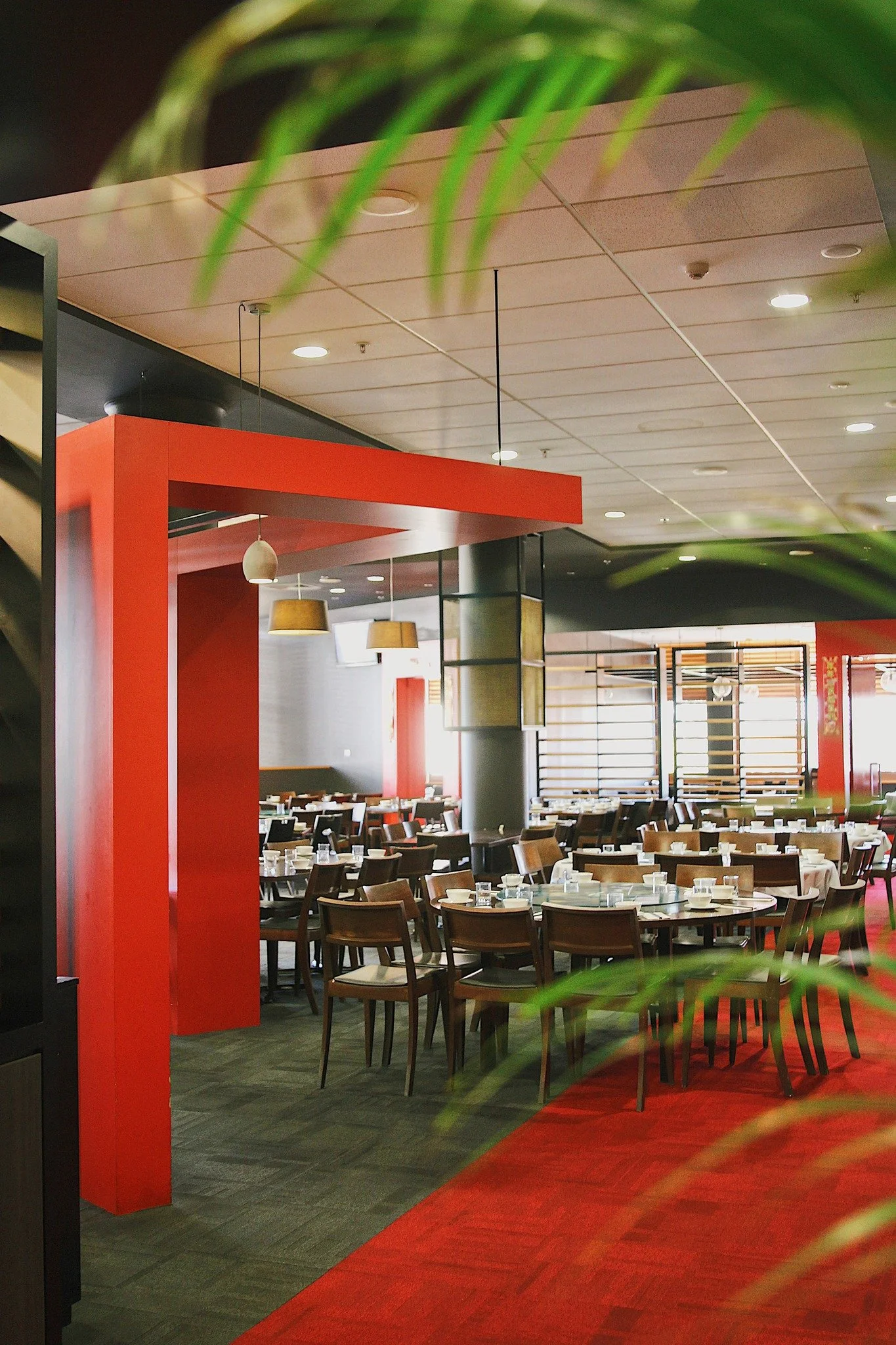 Got a family lunch, Christmas party, or friends&rsquo; dinner coming up? 🥳
Make it special at Ginseng, where authentic flavours and quality service come together for the perfect meal 🥟🥢

And if you&rsquo;re still sorting out your Melbourne Cup lun