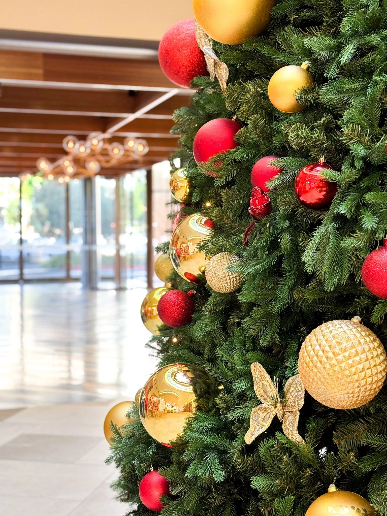 Christmas has arrived at Hellenic! 🎄😍

Our tree is officially up and sparkling - come see it for yourself in the Woden foyer and get into the festive spirit! ✨

✅ Follow us: @hellenicclubofcanberra 
#HellenicClubOfCanberra