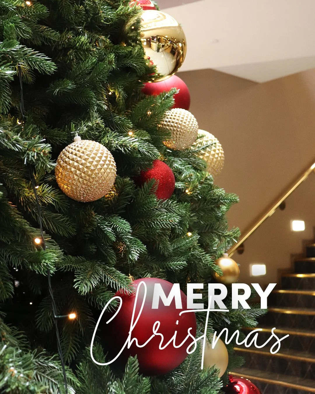 Wishing our Hellenic Club community a very Merry Christmas! 🎄🥳
We hope you enjoy celebrating with family, friends, &amp; loved ones today ❤️🎁

A friendly reminder that we are closed today and will re-open at 9am tomorrow.

#HellenicClubCanberra