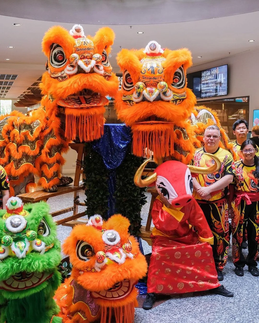 Celebrate Lunar New Year at Ginseng! 🧧🎉

Enjoy a delicious Yum Cha lunch with performances from Canberra Prosperous Mountain Dragon and Lion Dance to celebrate the Year of the Horse! 💥🎶

🐴 Saturday 21 February:
11:30am &amp; 1:15pm - Yum Cha Per
