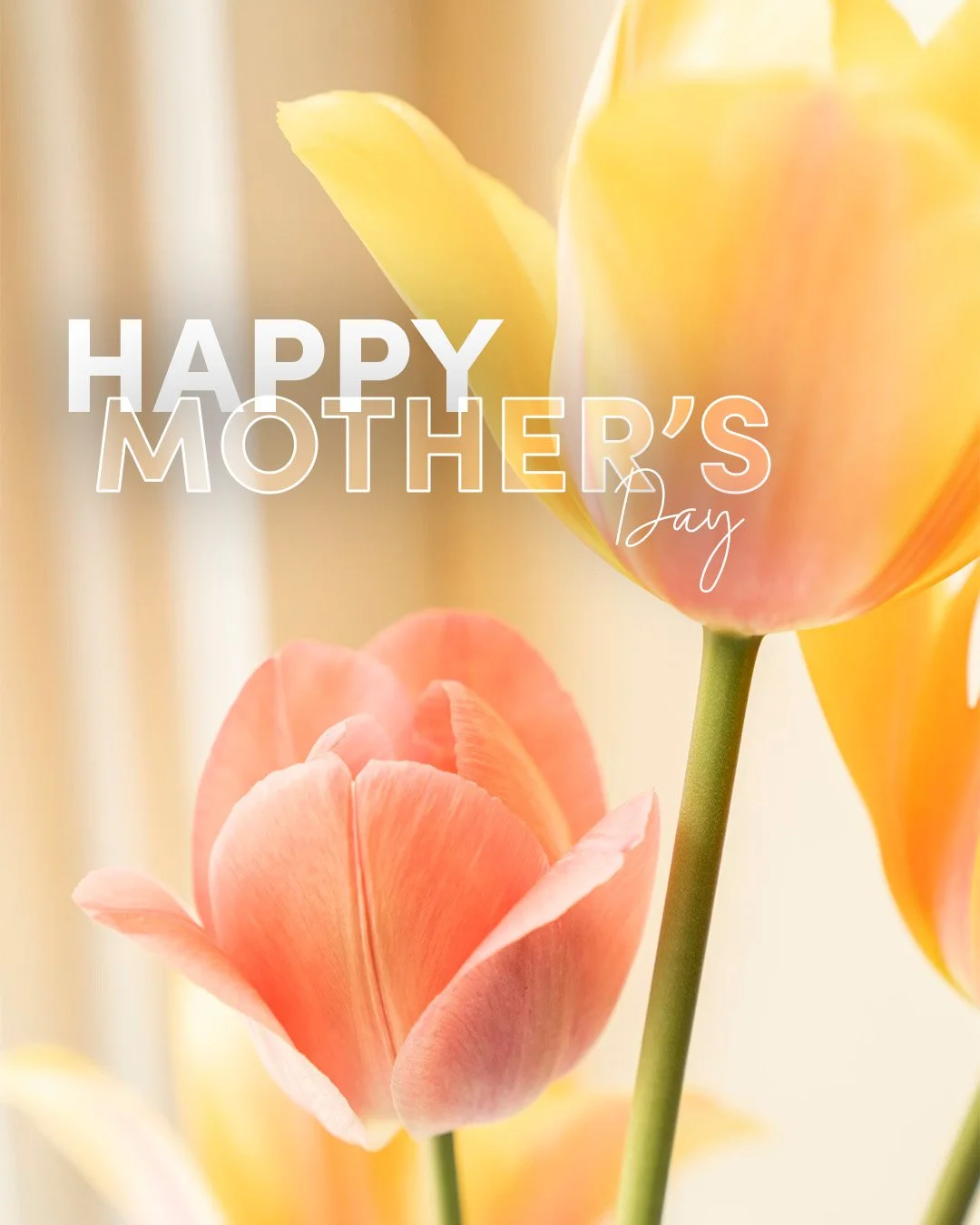 Happy Mother's Day! 🩷

To all the incredible mums out there, we hope you have an amazing day today and get spoiled by loved ones 💐🎁

 #hellenicclubofcanberra