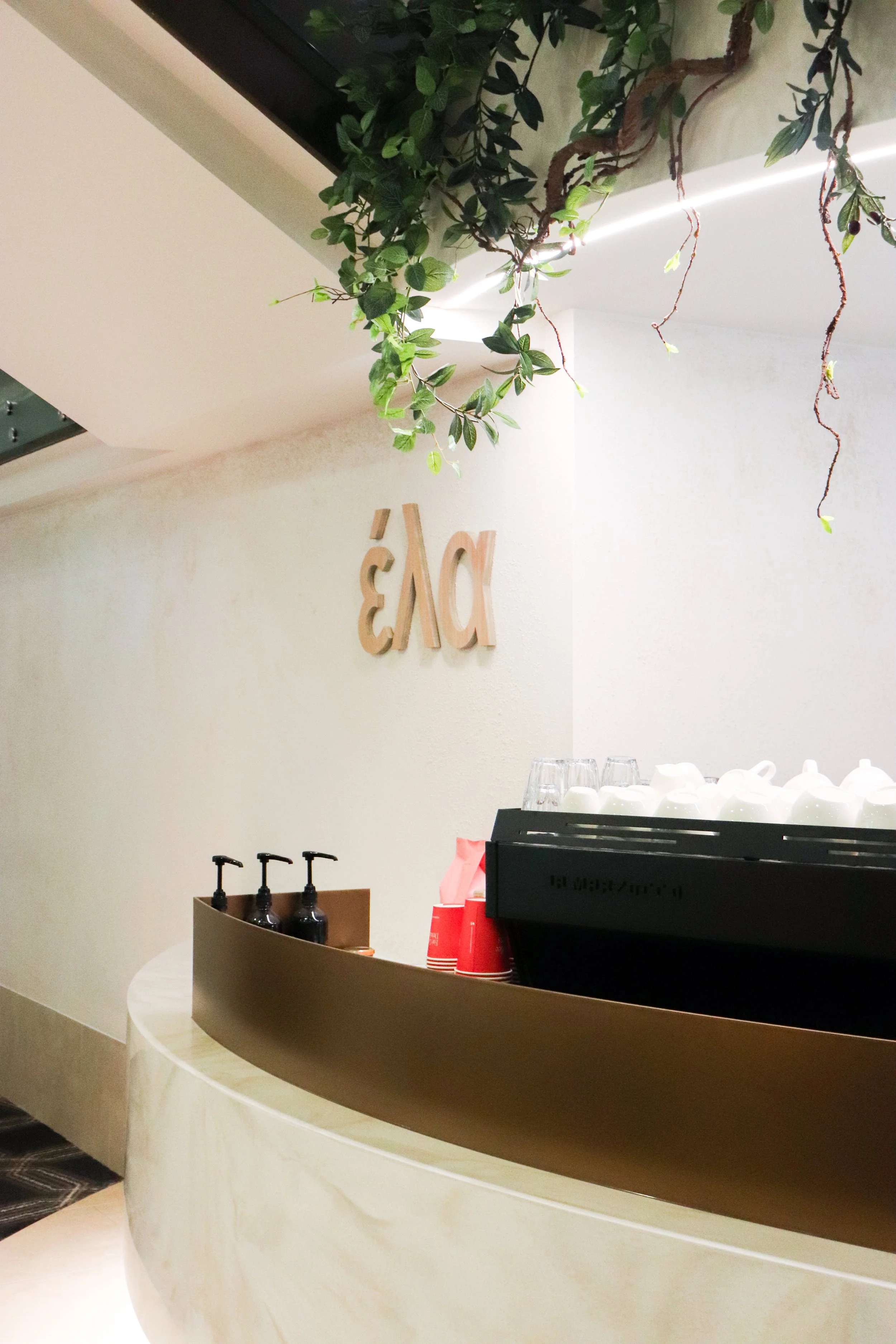 Interior view of a café counter with a sign behind it that reads 'DÁM' and decorative greenery hanging above.