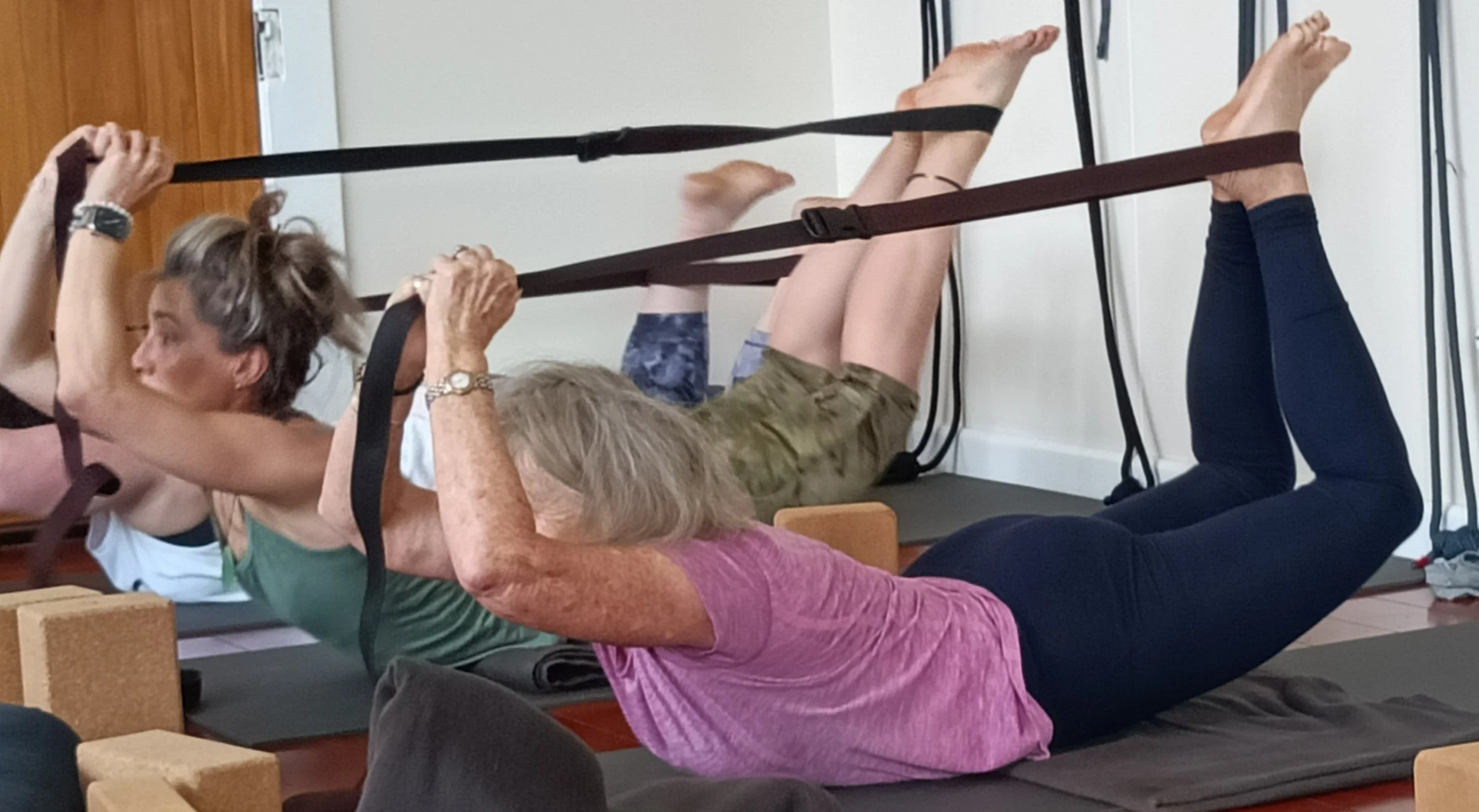 sabina and suzanne dhanurasana.jpg