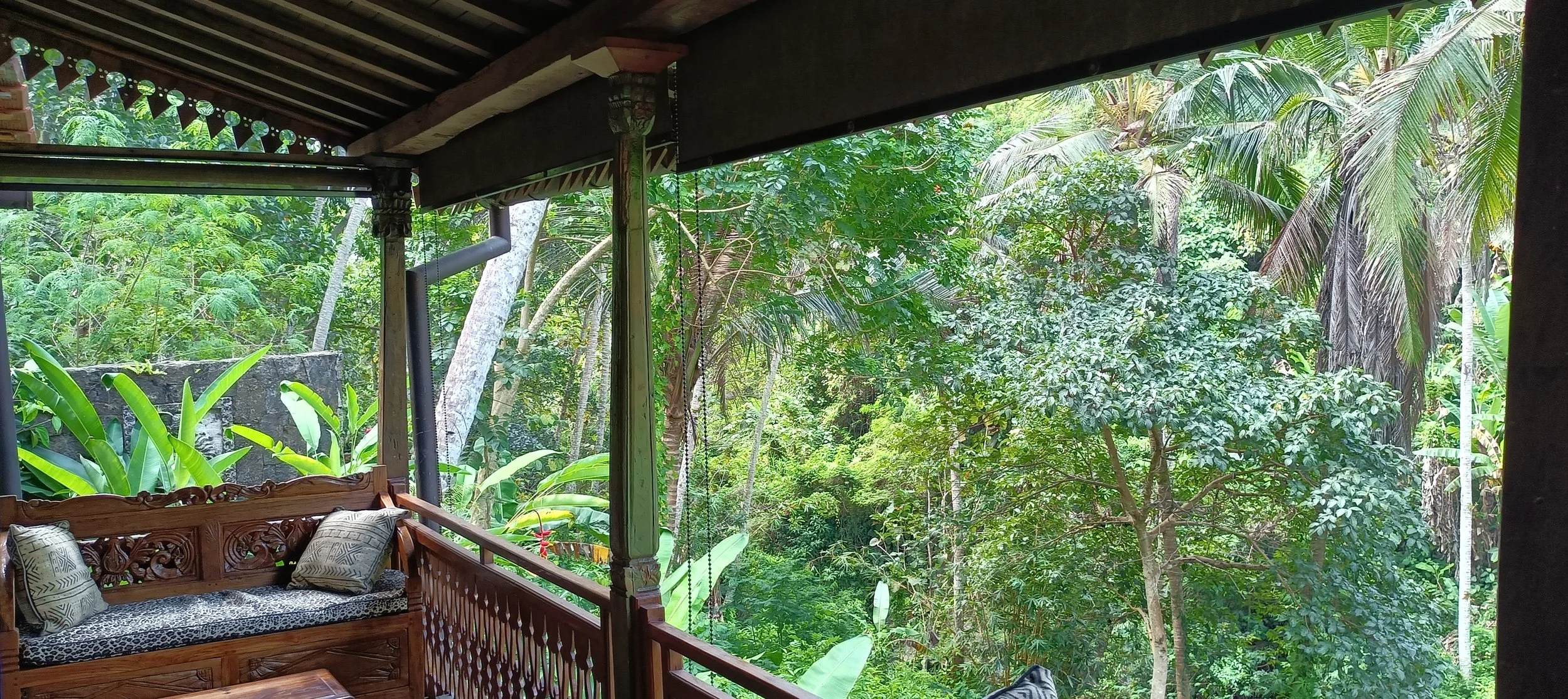 lush jungle.jpg