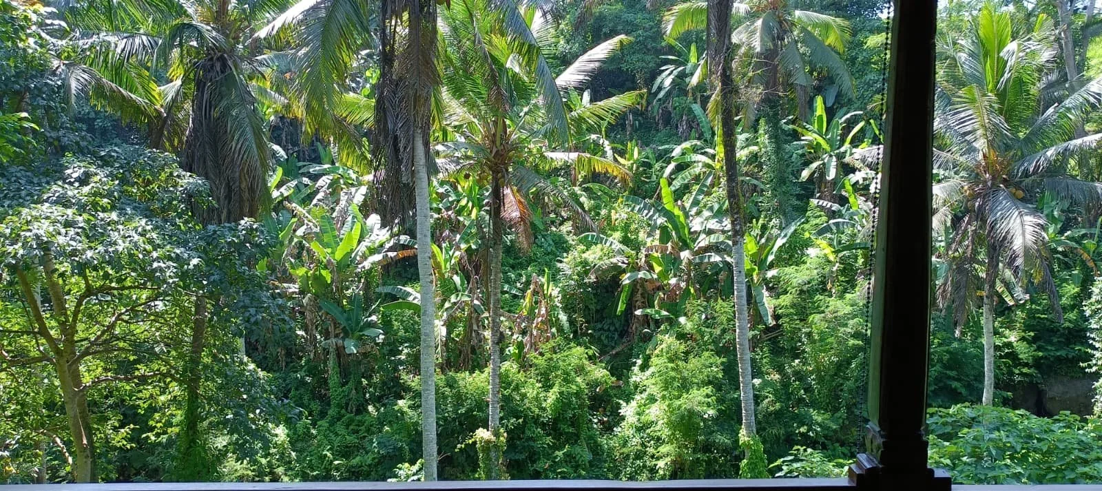 Lumina lush surrounds.jpg