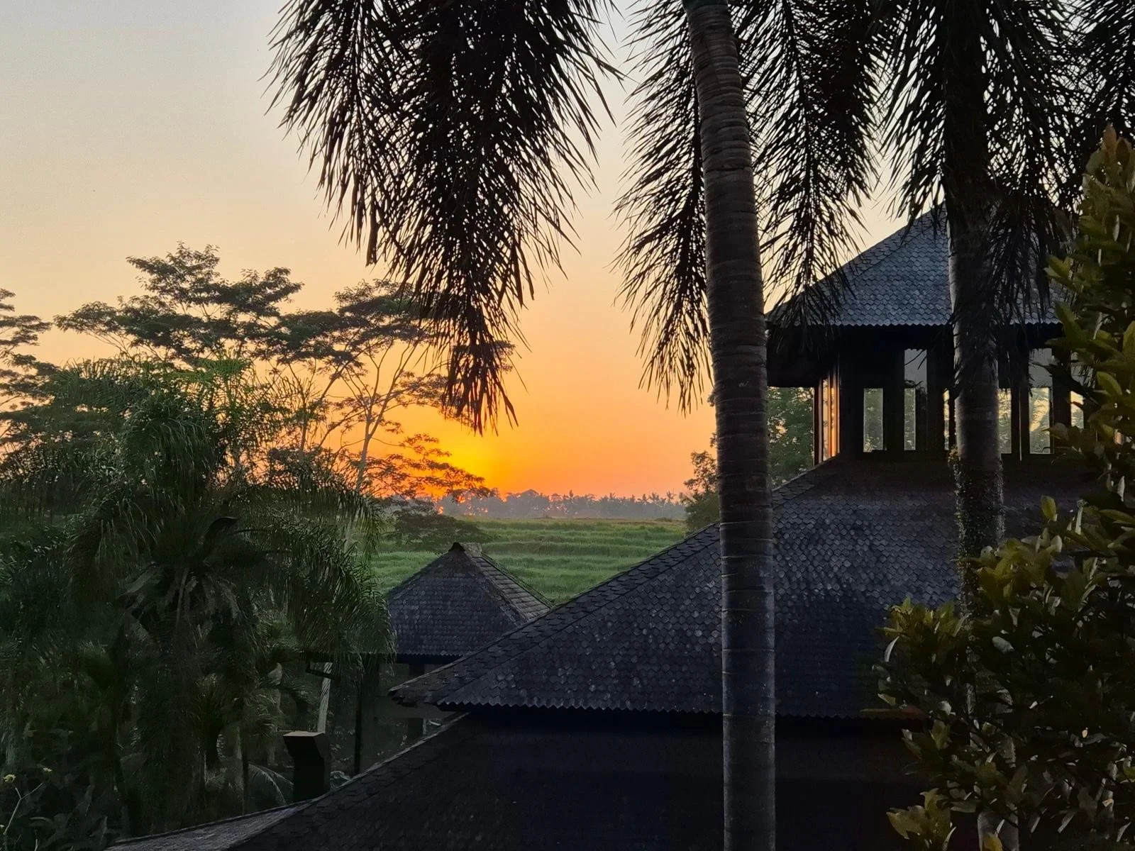 Lumina sunrise.jpg