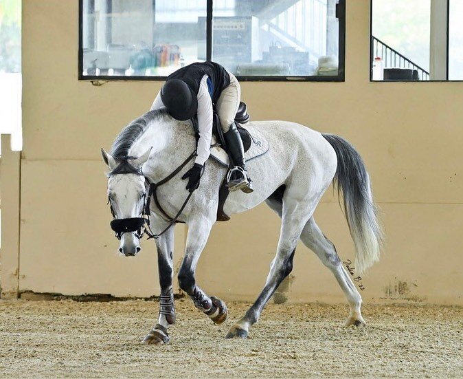 What an awesome weekend our riders had last week at the show, thank you @westpalmsevents for hosting another great show!! 

Kate &amp; Eddie Champion in the AA&rsquo;s and third and the children/adult hunter classic 

Kate &amp; Simply putting in som