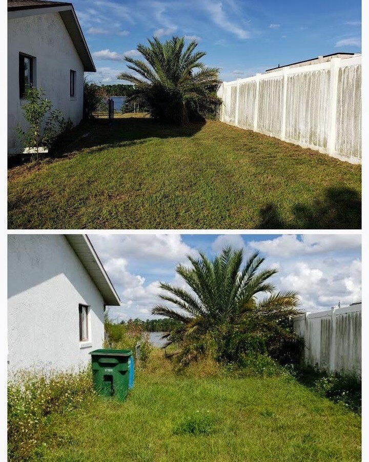 Yard restoration service for the win!

Call us today at 321-226-8816
Visit us today at www.lawnconciergepro.com

#lawncare #lawnmaintenance #lawnmowing #overgrown #landscaping #propertymanagement #propertymaintenance #deltona #centralflorida