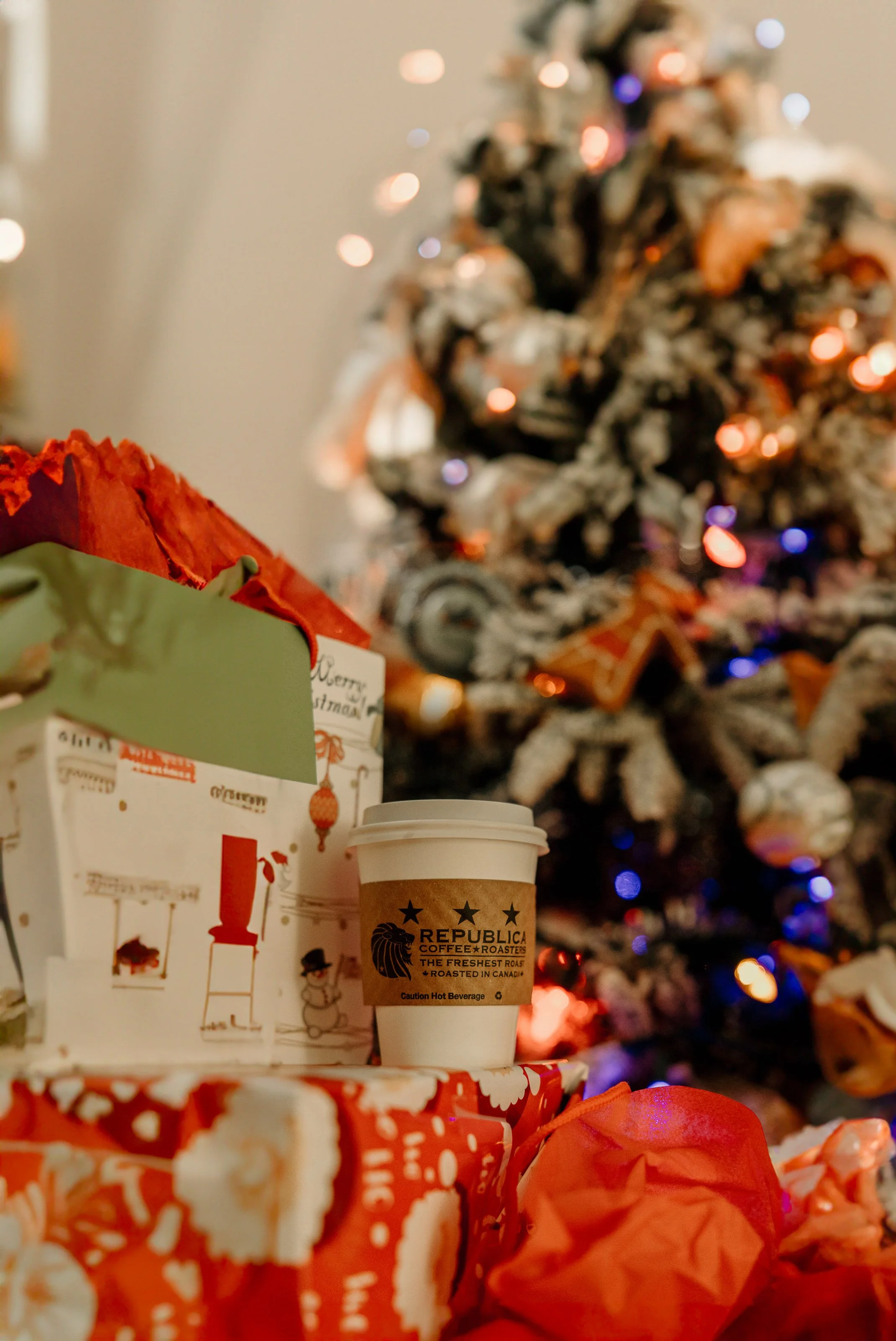 Repub Christmas-2-2.jpg