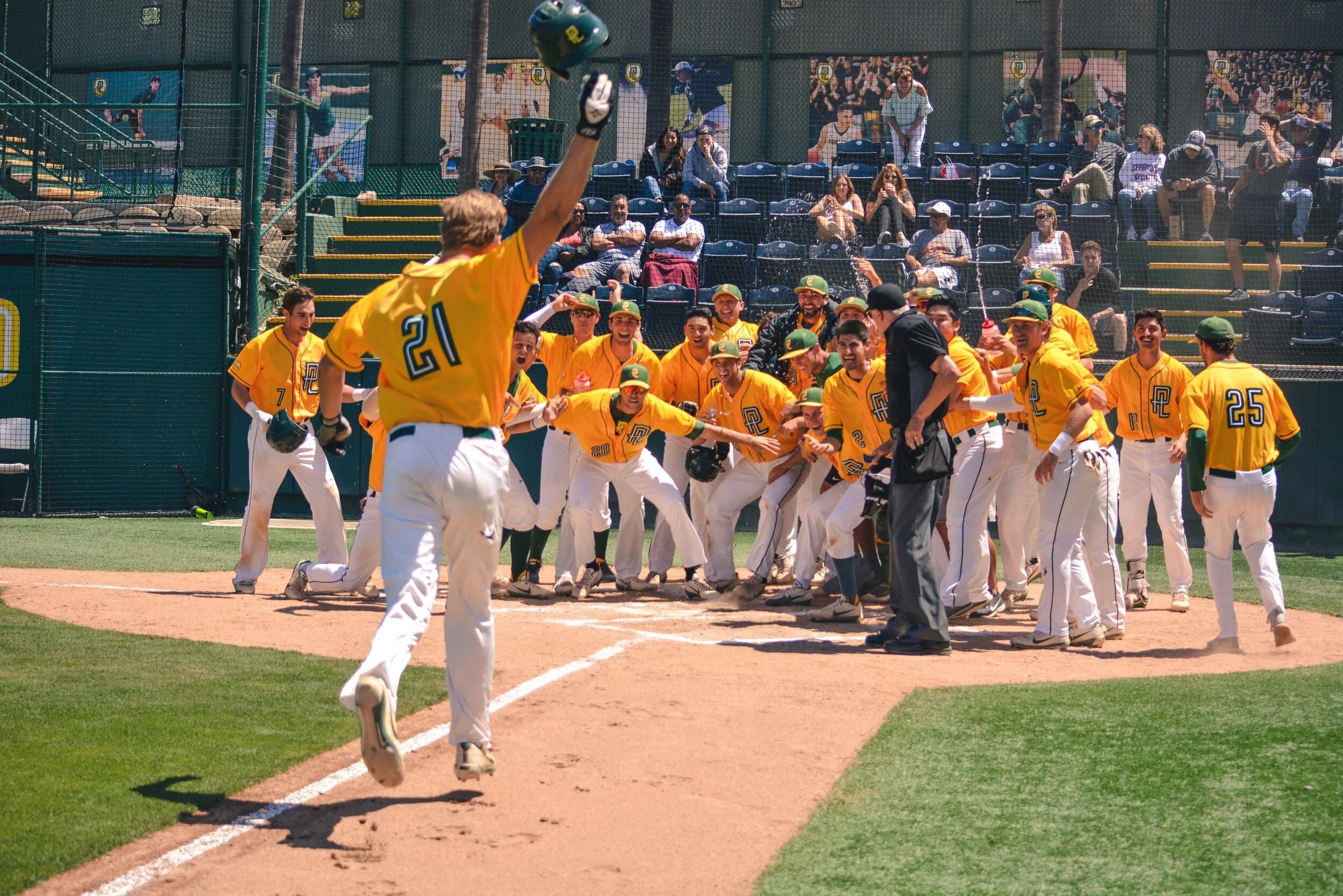 Baseball (1).jpg