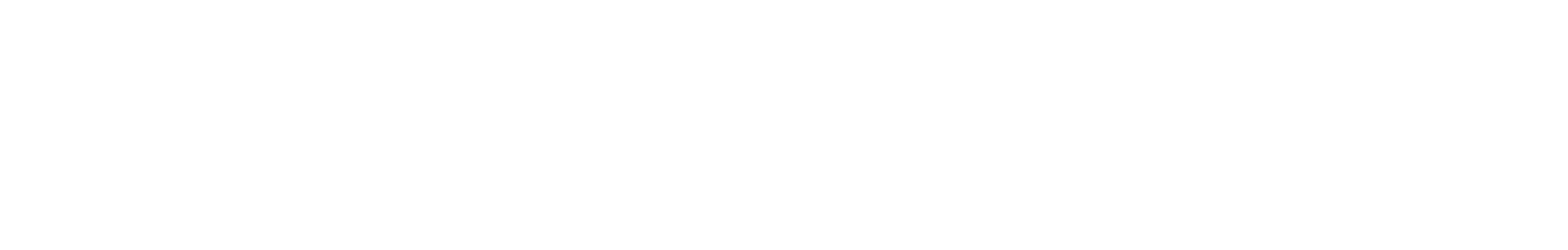 The Party Hack