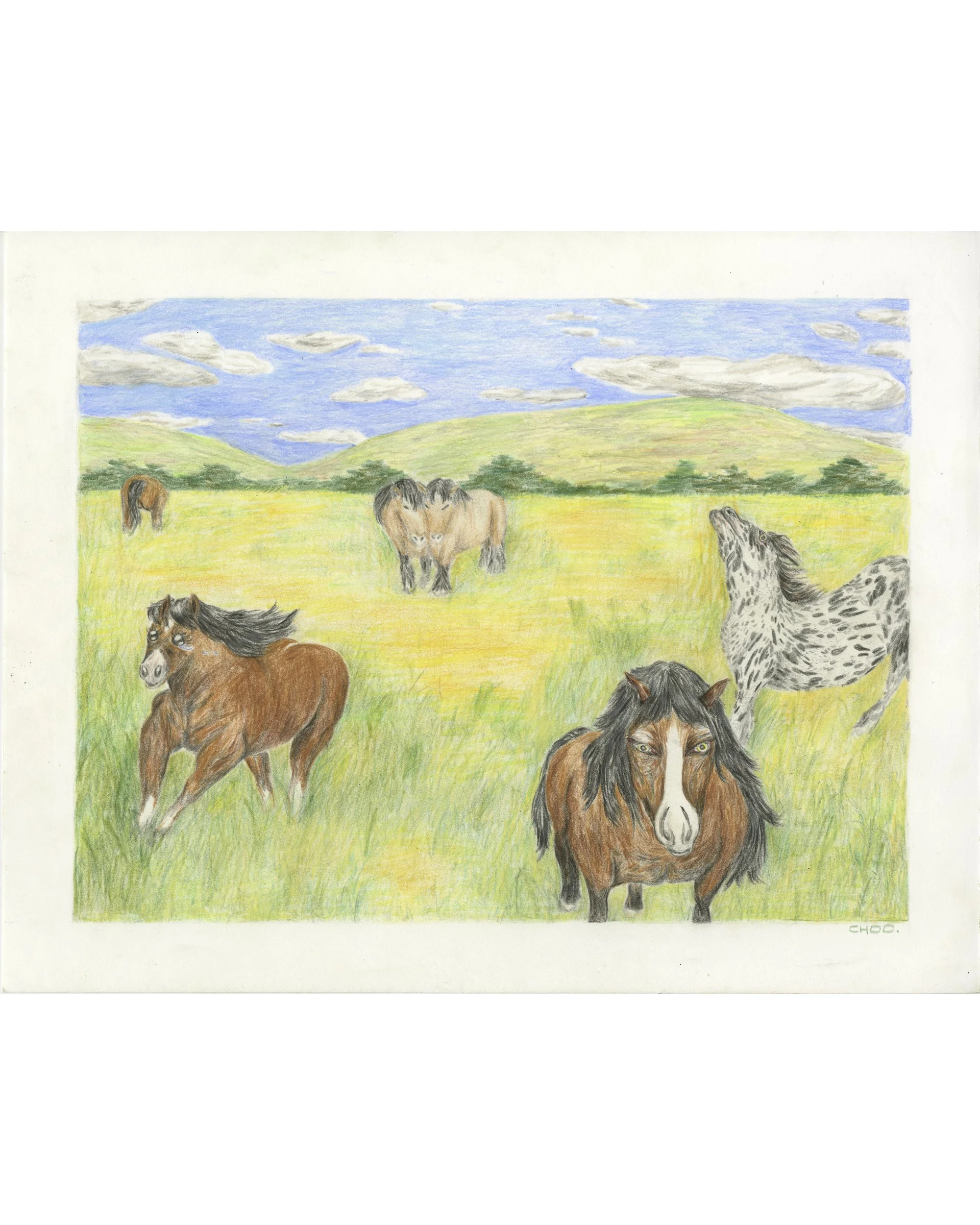 YerrieChoo_i want to be in the fields.jpg