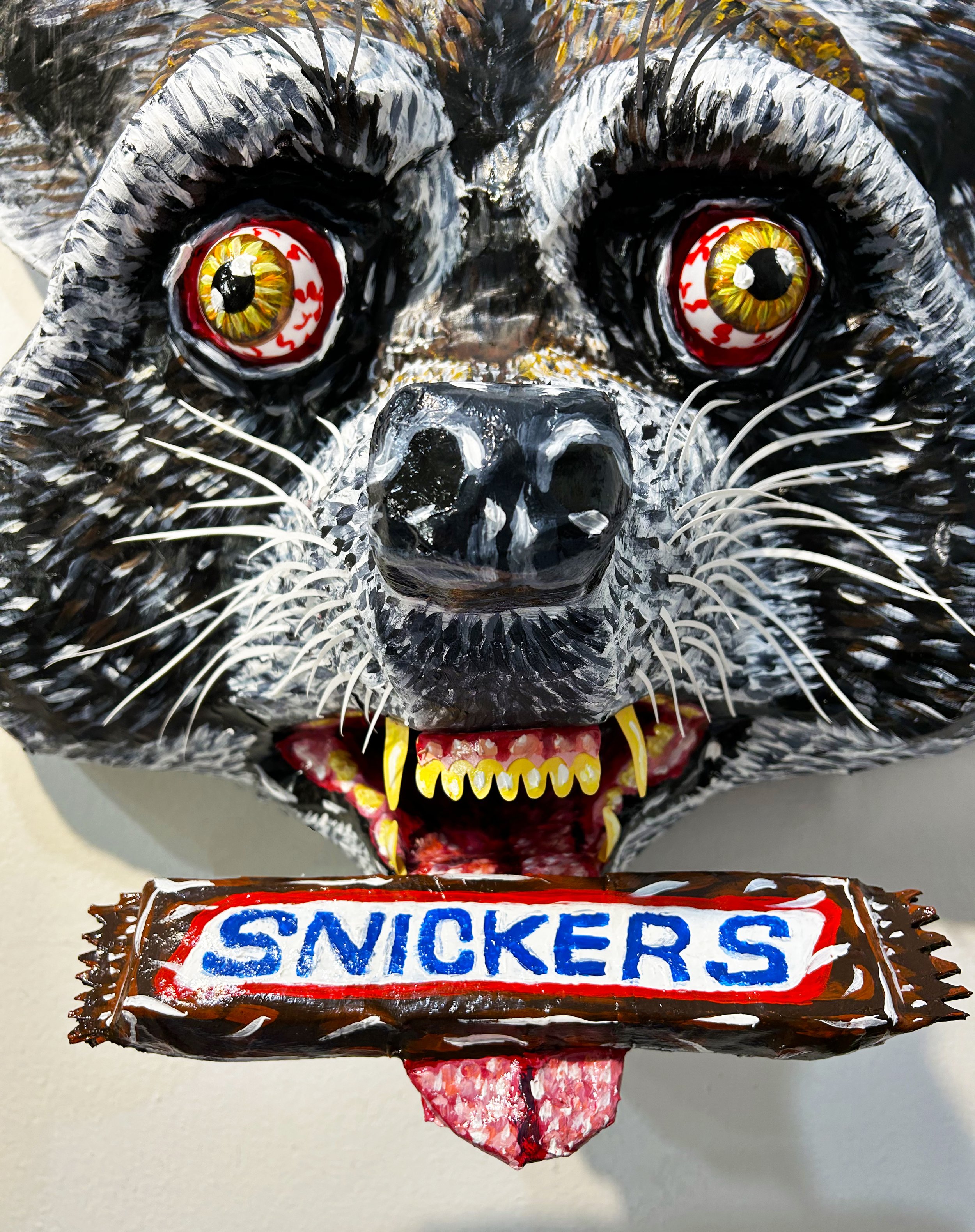 Youre_A_Racoon5.jpg