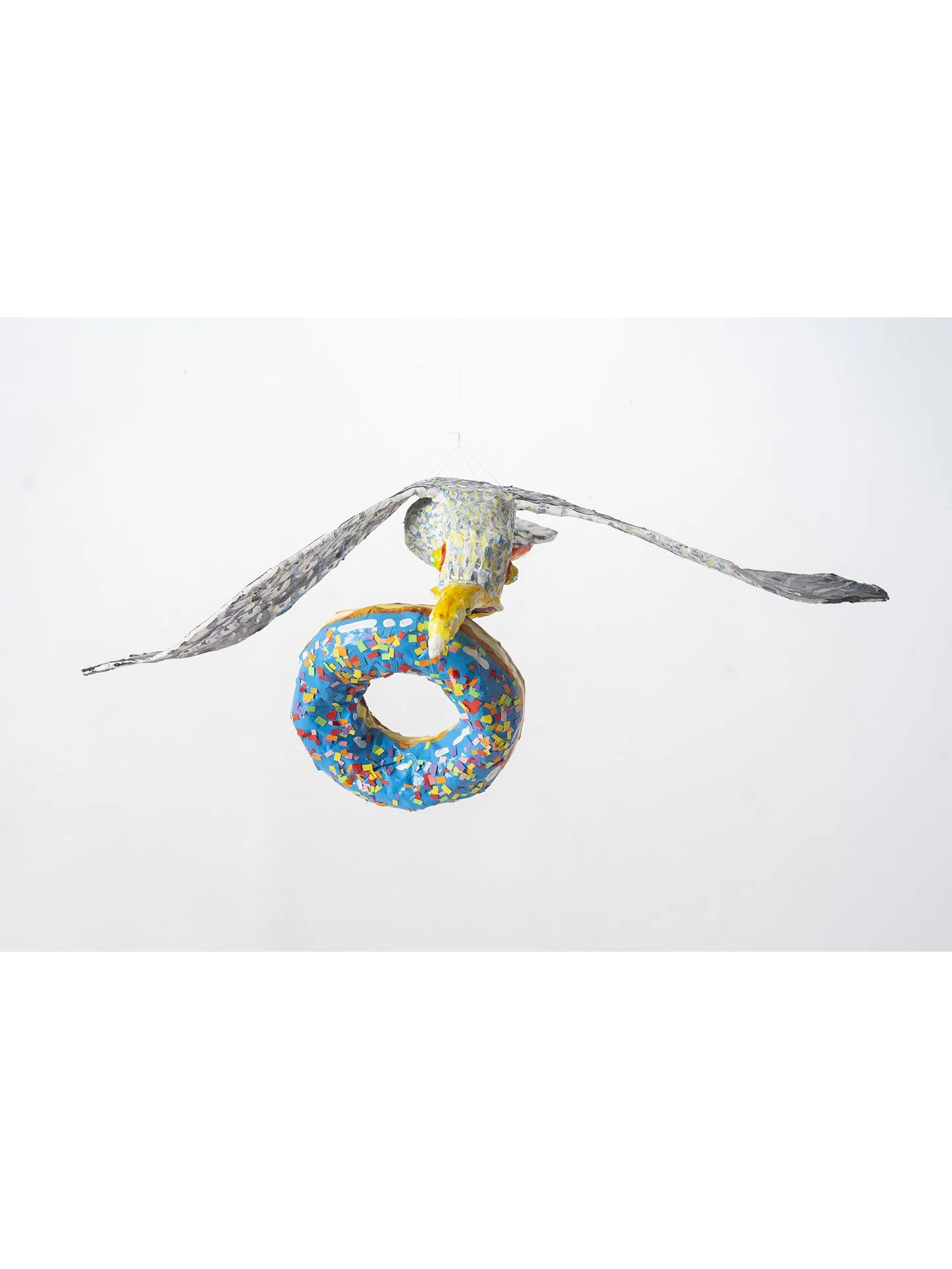 Andrea Bergen, Blue Donut Seagul