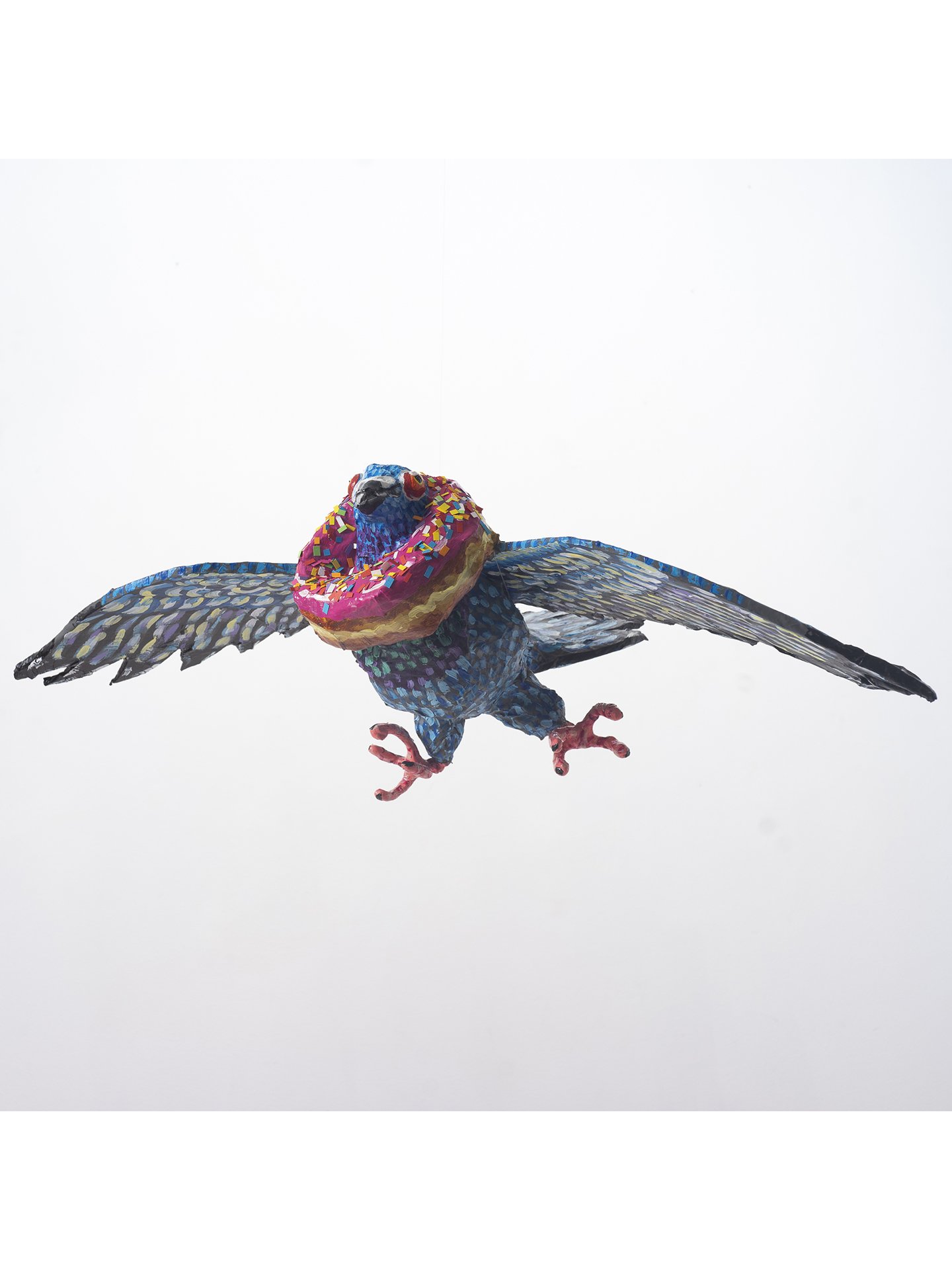 Andrea Bergen, Pink Donut Pigeon