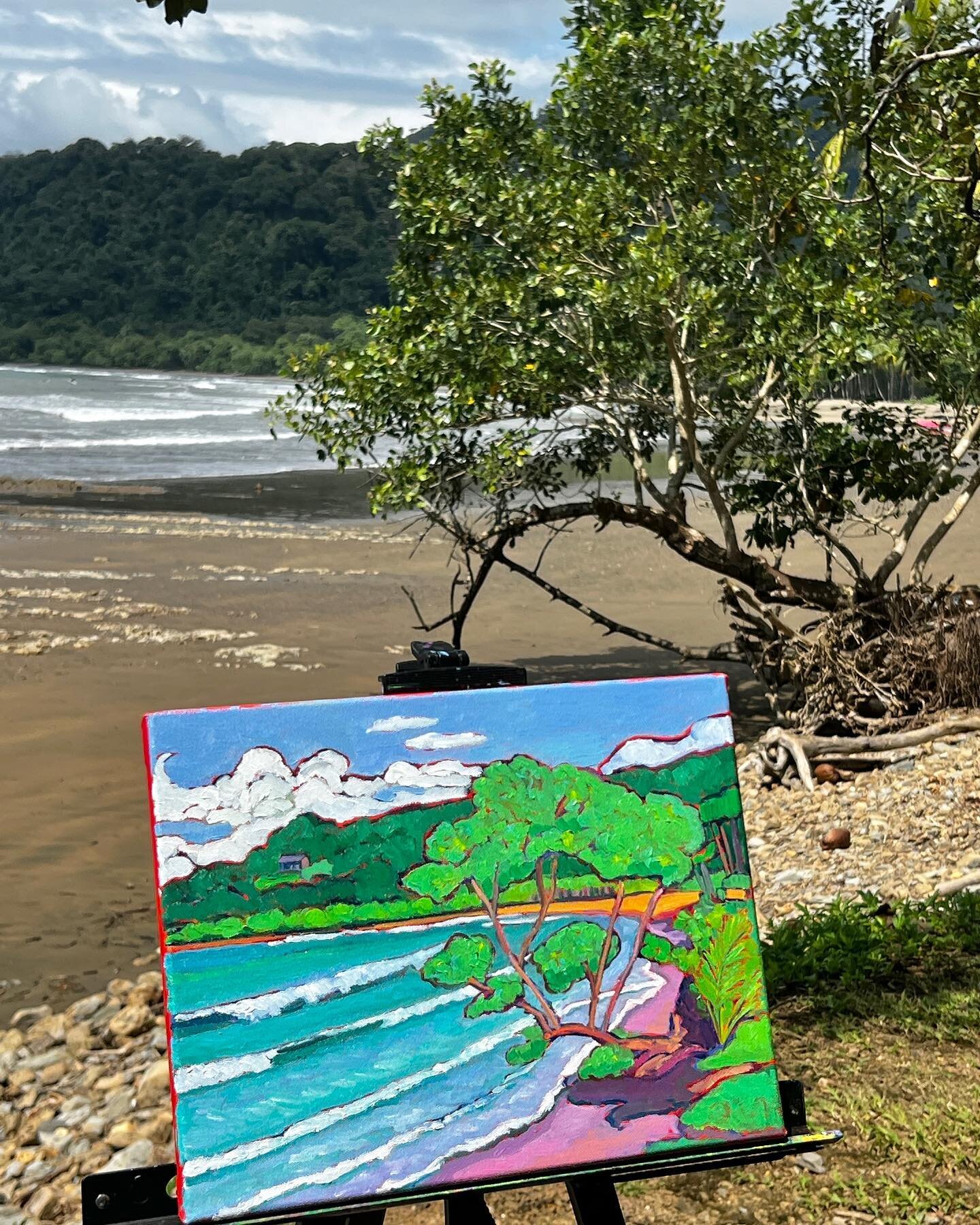 #dominica #costarica &hellip; painting this morning at playa dominicalito&hellip;  #oilpaintingonsite #paintingbeachscenes #expressionism  #landscapepainting #pleinairartist  #annegarney #fauve #fauvist #fauvism #pleinair #kansascity #colorist #domin
