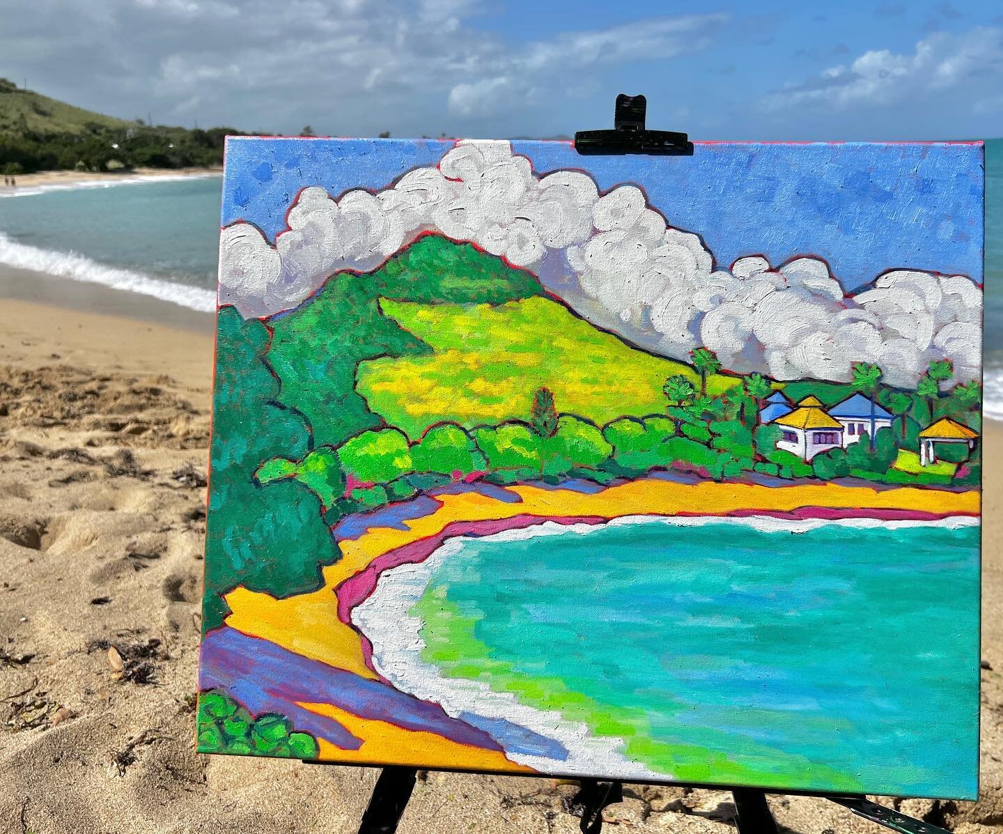So much fun painting this morning on St. Croix&hellip; then playing disc golf &hellip; #firstvisit #stcroix #shoysbay #shoysbeach #shoysbaybeach #bucaneerhotel #stcroixbeach #discgolfstcroix #fauves #fauvist #fauvism #annegarney #pleinair #landscapep
