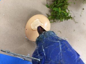 IMG_5081.