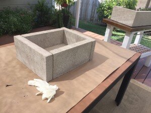 IMG_2807.