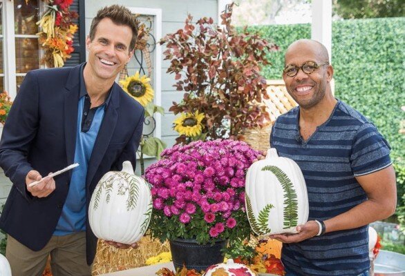 Debbie Matenopoulos和Cameron Mathison欢迎演员Lindy Booth和Wes Brown从Hallmark频道原始电影“在秋天的月亮下”。Actor Boris Kodjoe会谈ABC的“车站19”。“拉丁美洲舒适食品制造健康”作者,Ingrid Hoffman用烟熏黑豆腐辣酱烹饪Carnitas Verdes。从Courtney,Courtney Rich Up of Honey Goat Cheese Cake。睡眠医生,迈克尔布雷博士讨论了睡着了,睡着了。贝弗利山庄组织者,Linda Koopersmith向我们展示了如何组织秋季院子销售。Paige Hemmis有一个DIY马蹄架。Shirley Bovshow在这里拥有我们需要了解PassionFruit的一切。Ken Wayard制作秋天叶南瓜。我们的家人回答查看器问题。 Credit: © 2018 Crown Media United States, LLC | Photo: jeremy lee/ Alexx Henry Studios, LLC.