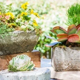 Hypertufa Planters