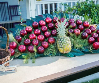 Colonial Williamsburg Door Topper