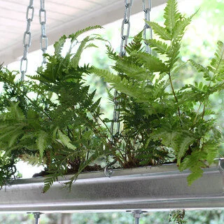 Rain Gutter Hanging Planters