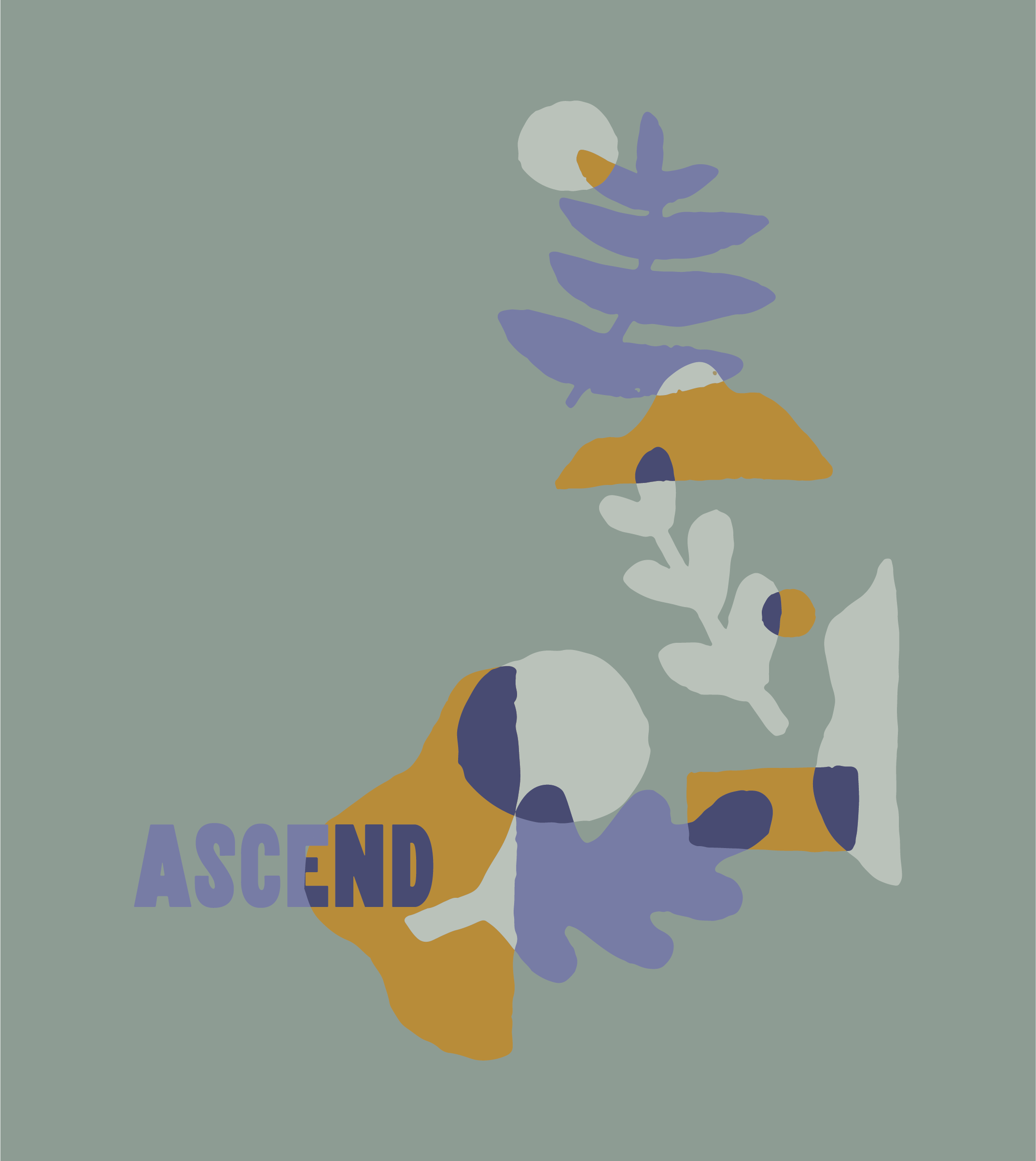 2024 Ascend Oak Leaves.png
