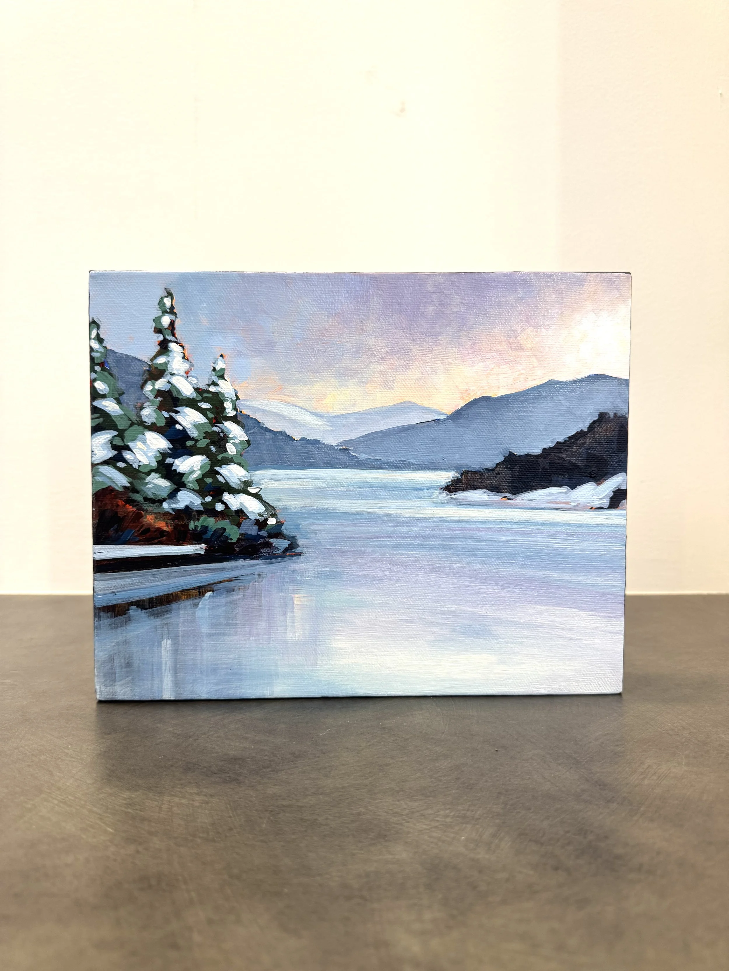 Lake Patterson Study