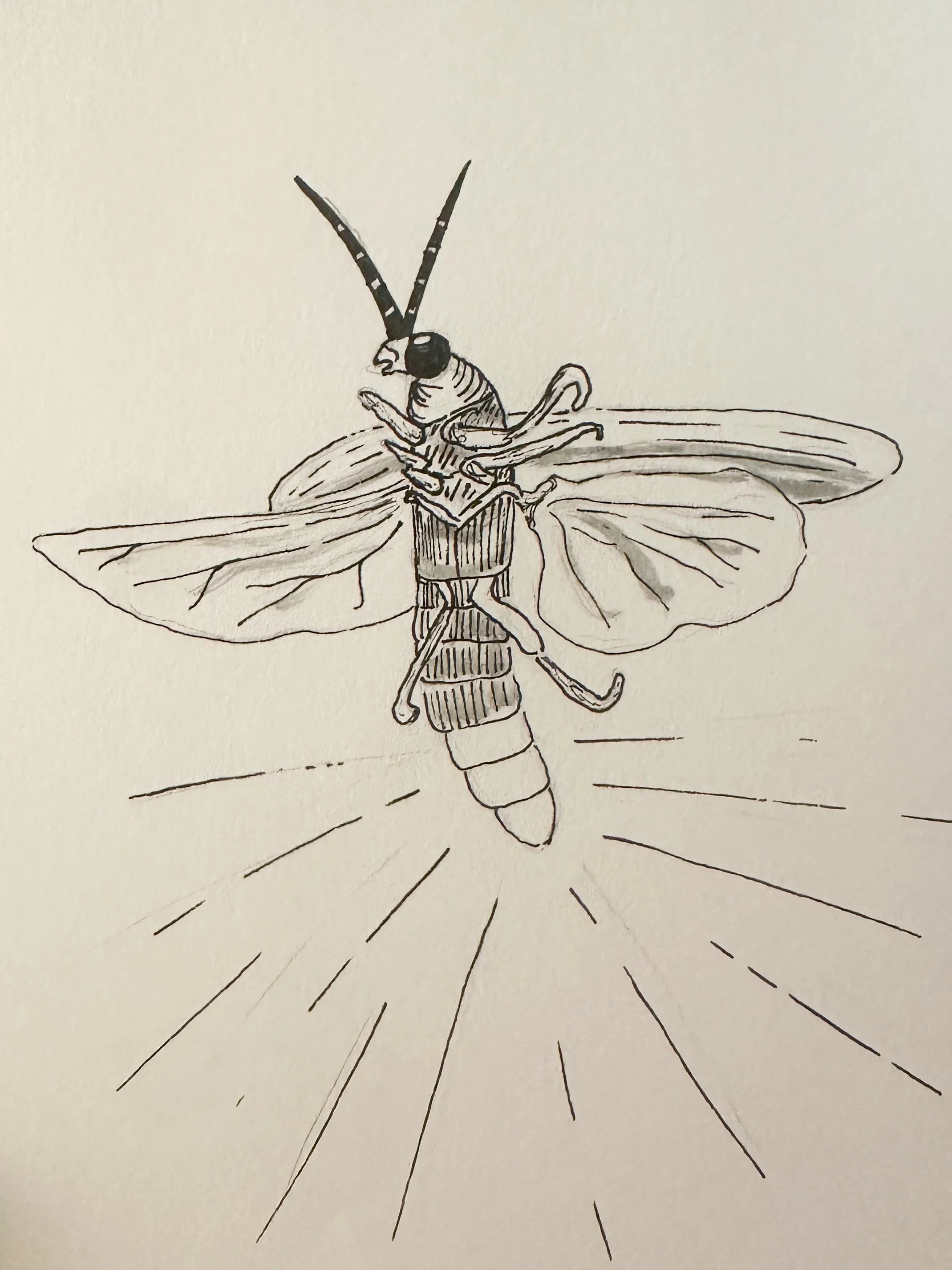 Day 23 - Firefly