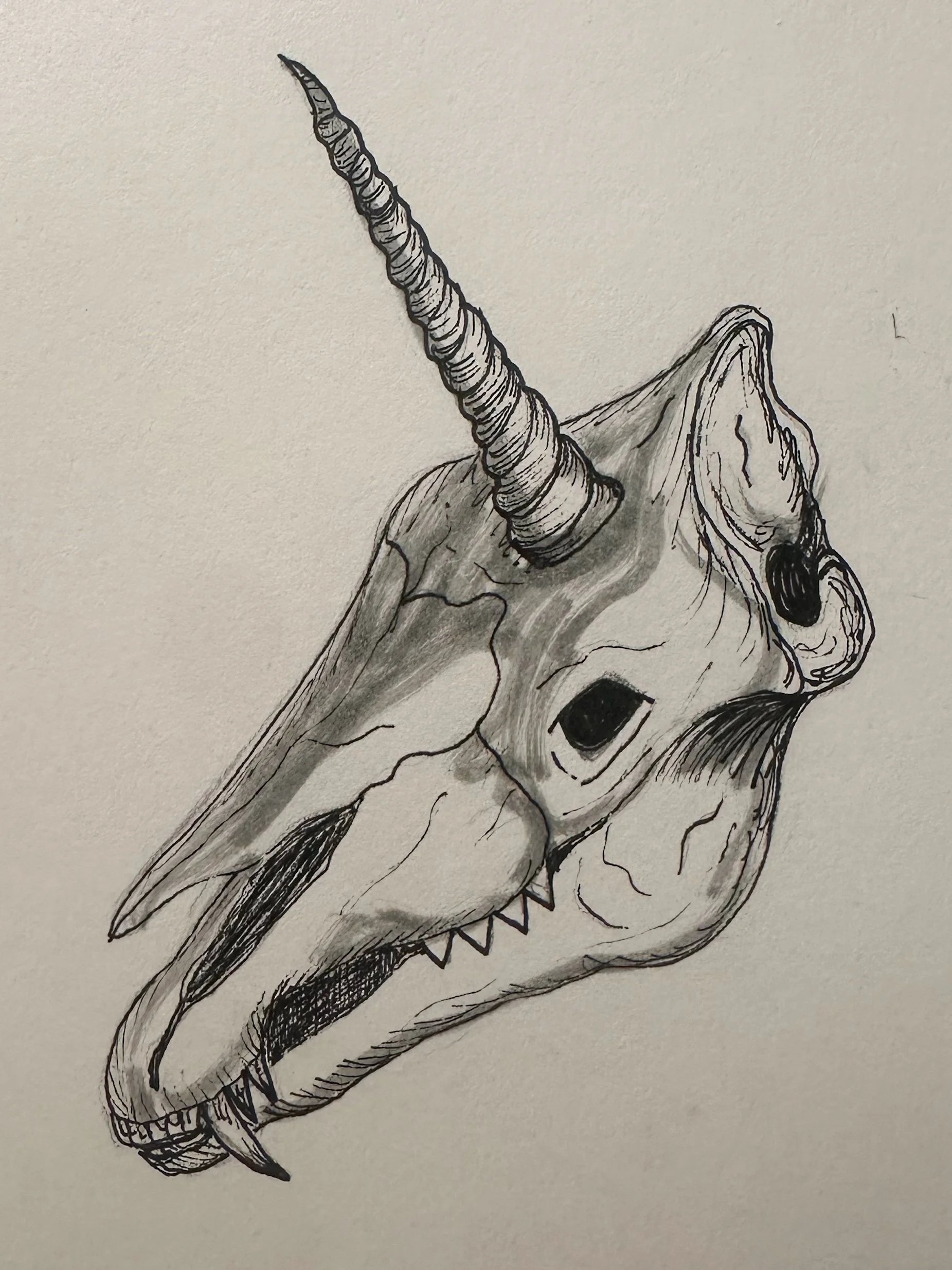 Day 28 - Skeletal