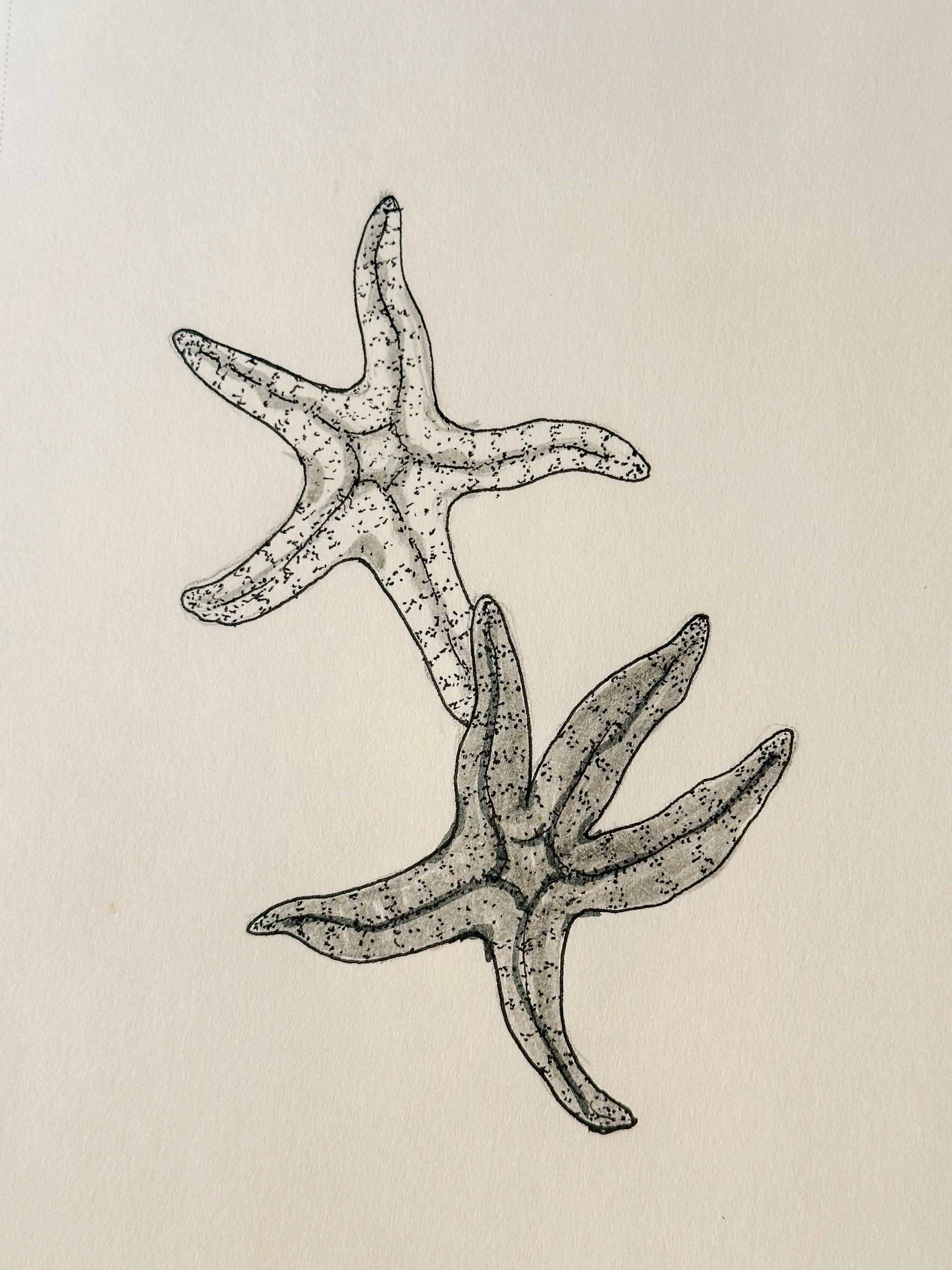 Day 7 - Starfish