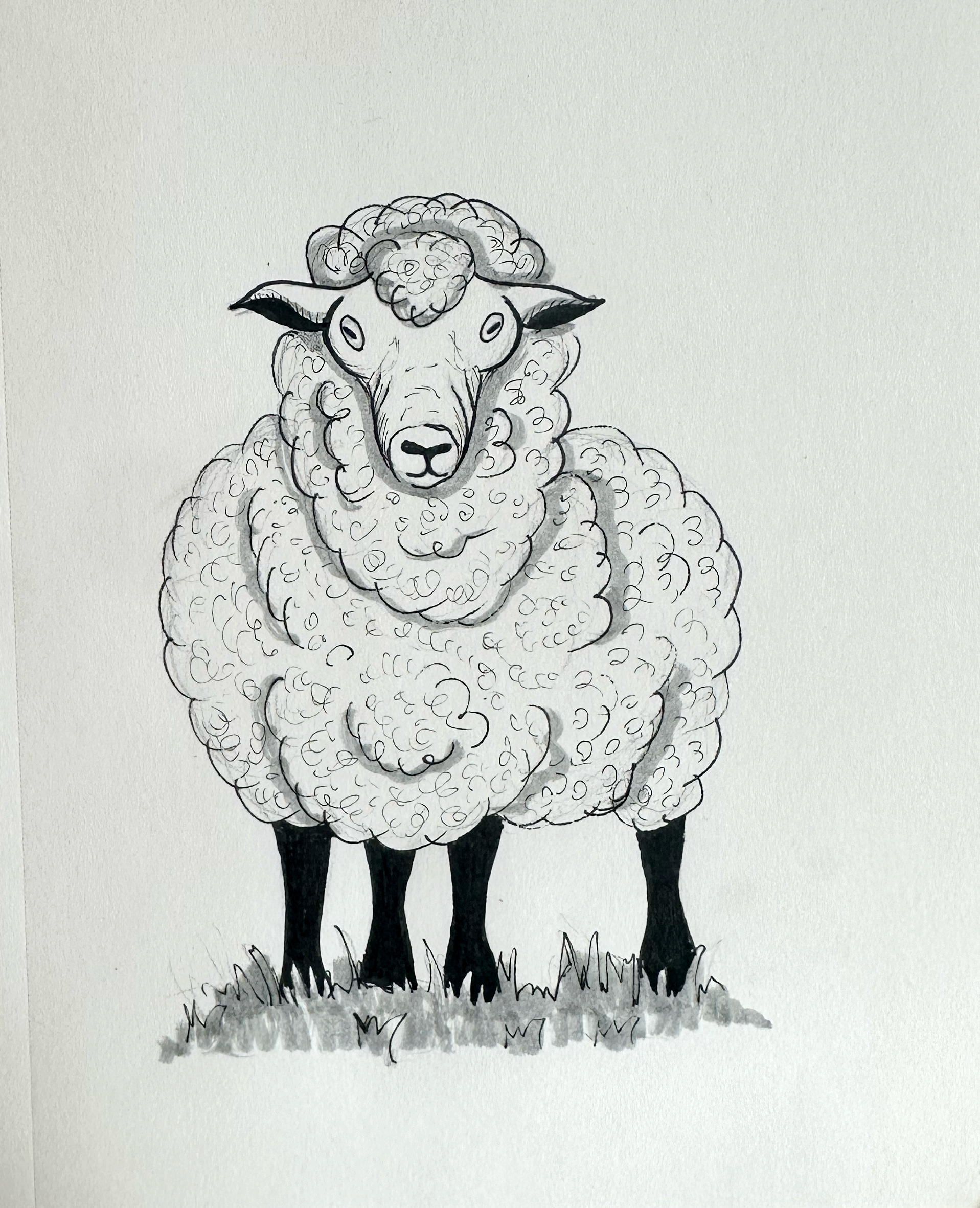 Day 28 - Shear