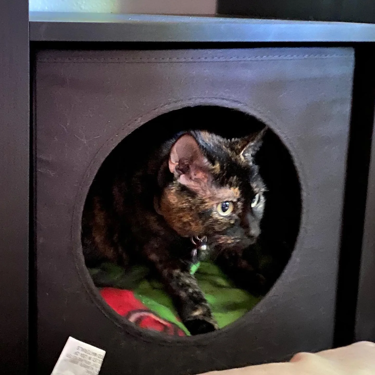 I found a cubby!