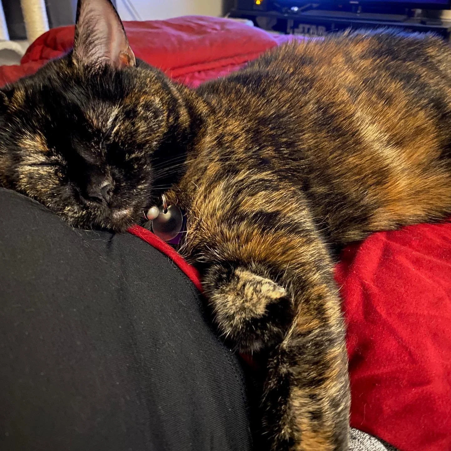 Sleepy