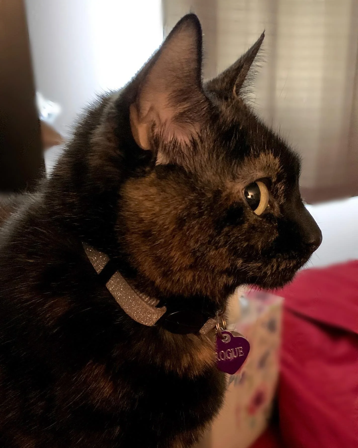 Mom caught me not gazing into her eyes.