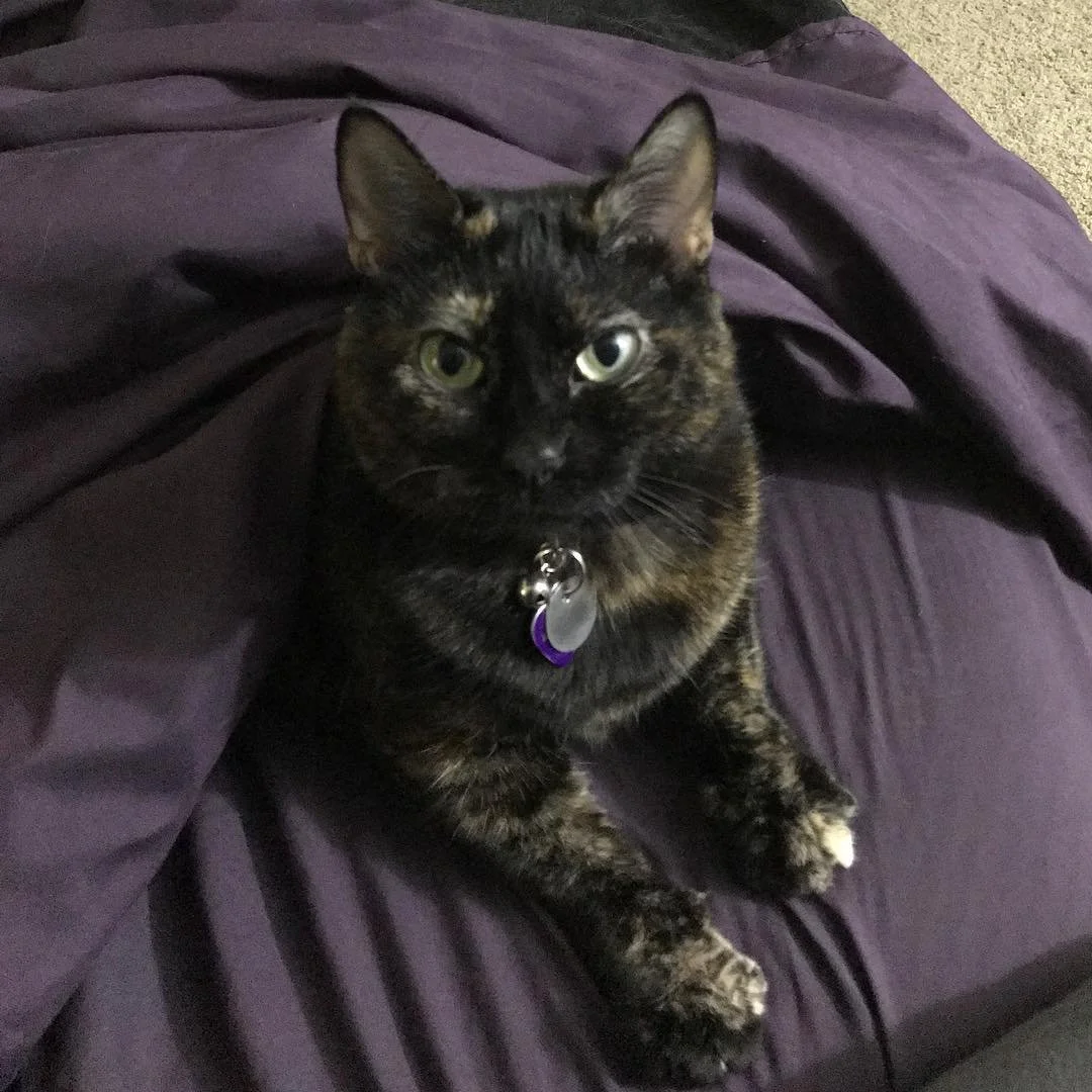 Just hanging out with mom.