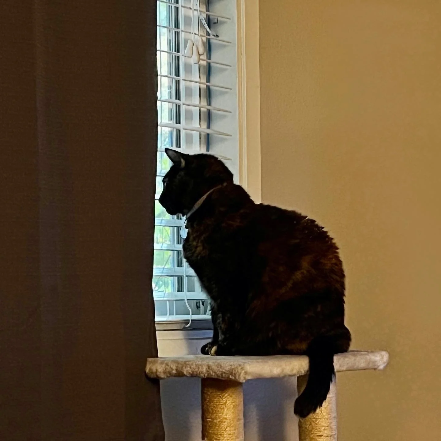 My muse hasn&rsquo;t been doing her job lately, but we&rsquo;re still kicking ideas around!