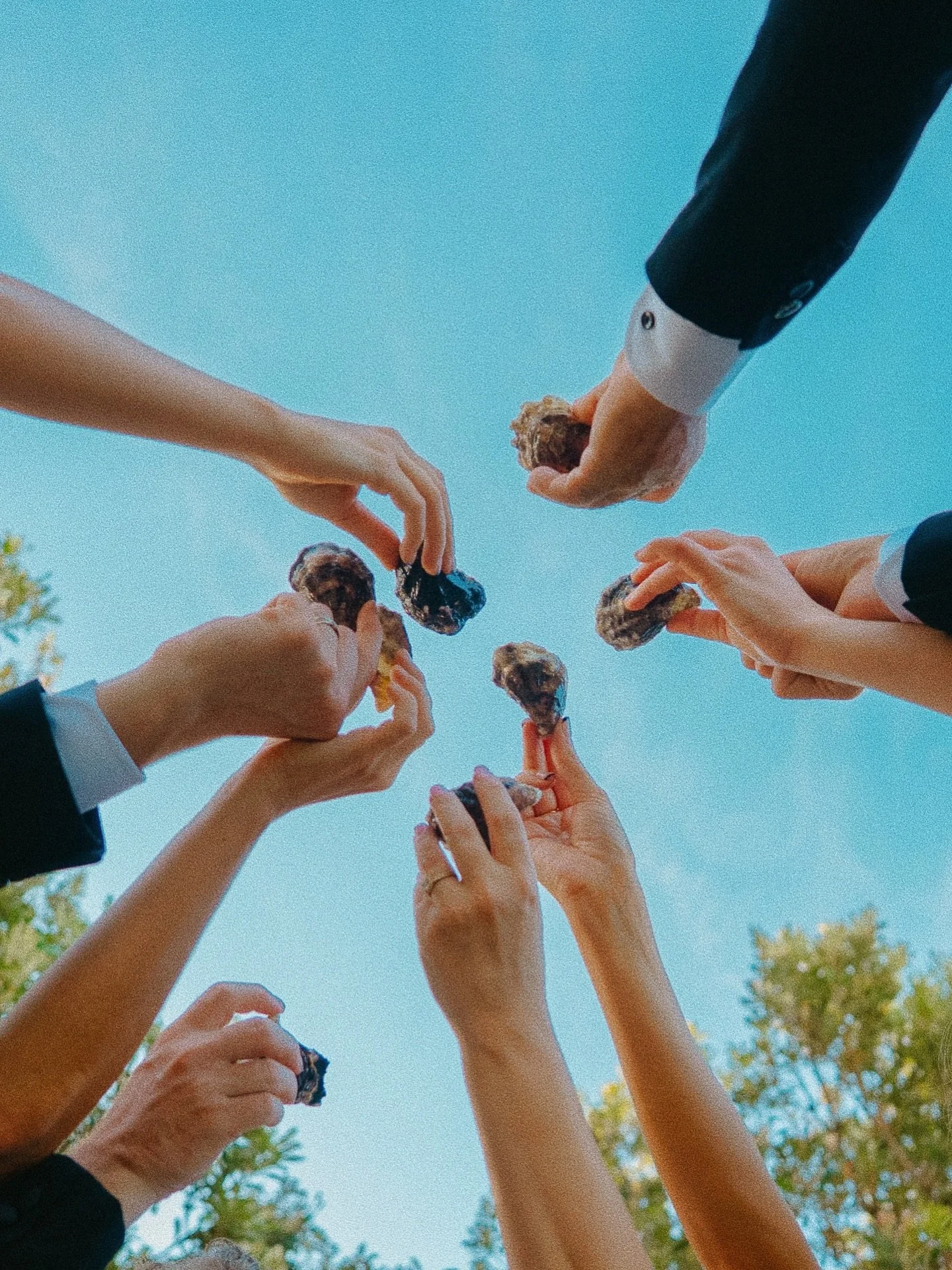 Multiple hands reaching upward to share cupcakes with frosting, chocolate, and sprinkles against a blue sky with tree leaves in the background.