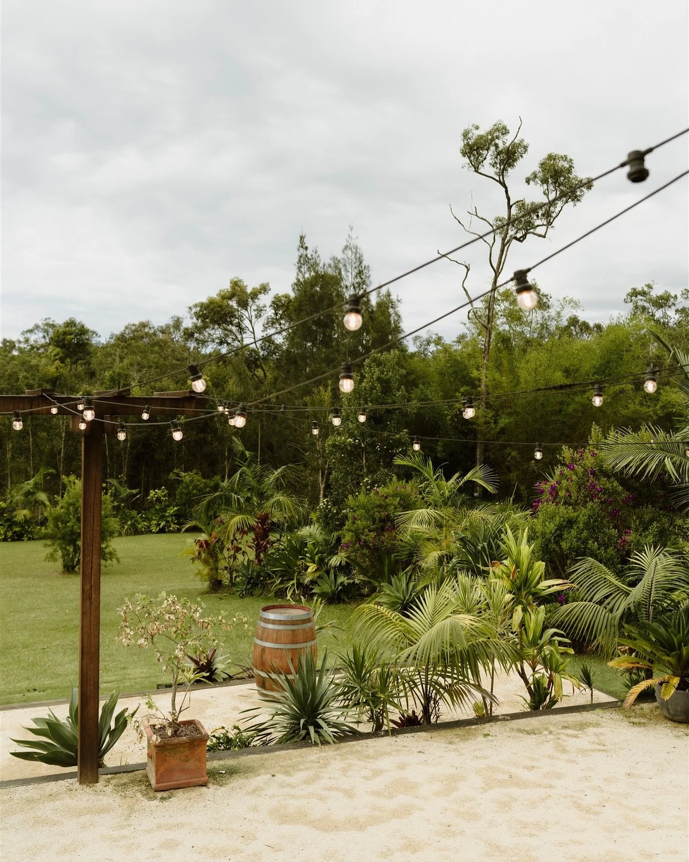 Outdoor garden area with string lights, lush green plants, and trees under a cloudy sky.