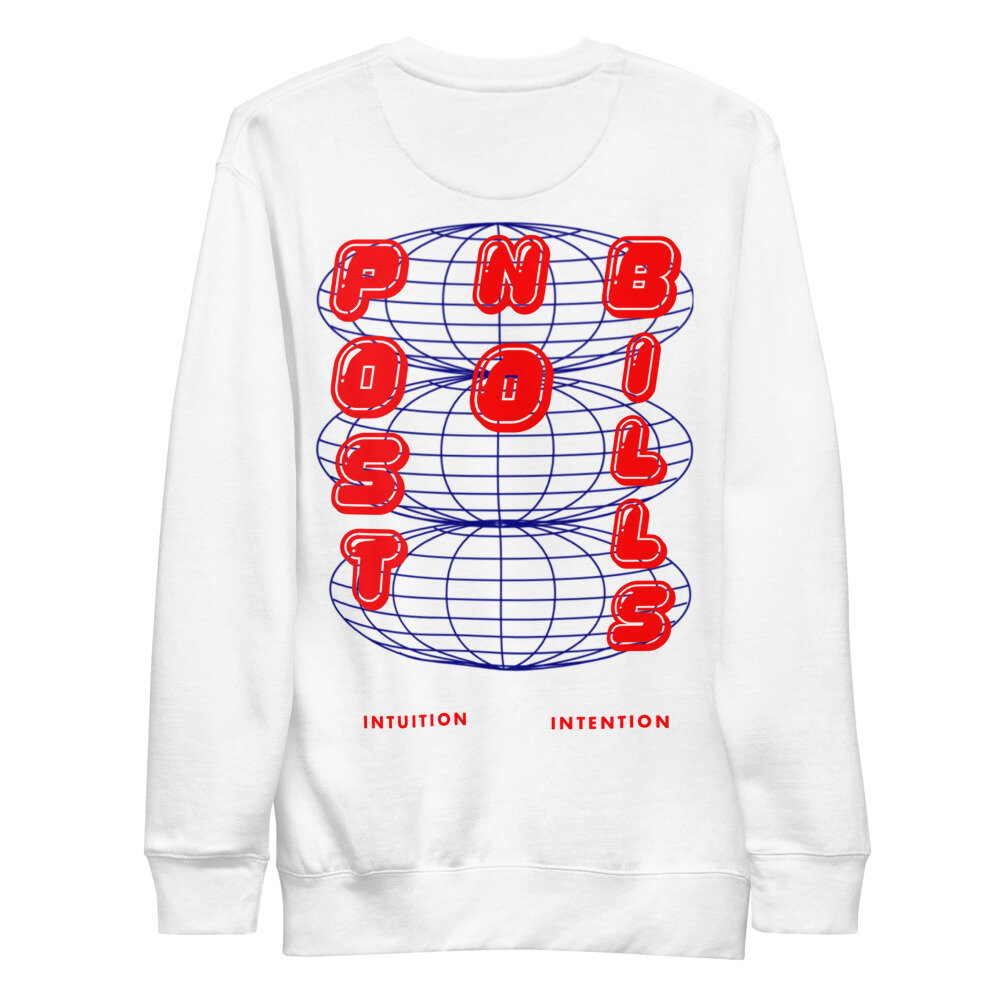 unisex-fleece-pullover-white-back-6092f62b4fea4.jpg