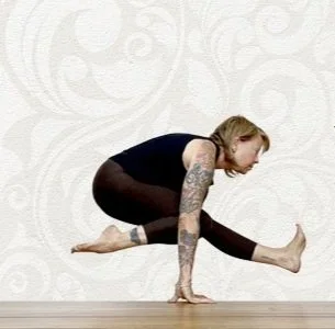 THE YOGA BARN ONLINE WORKSHOP: JUMP THROUGHS AND JUMP BACKS THE ART OF THE FLOAT