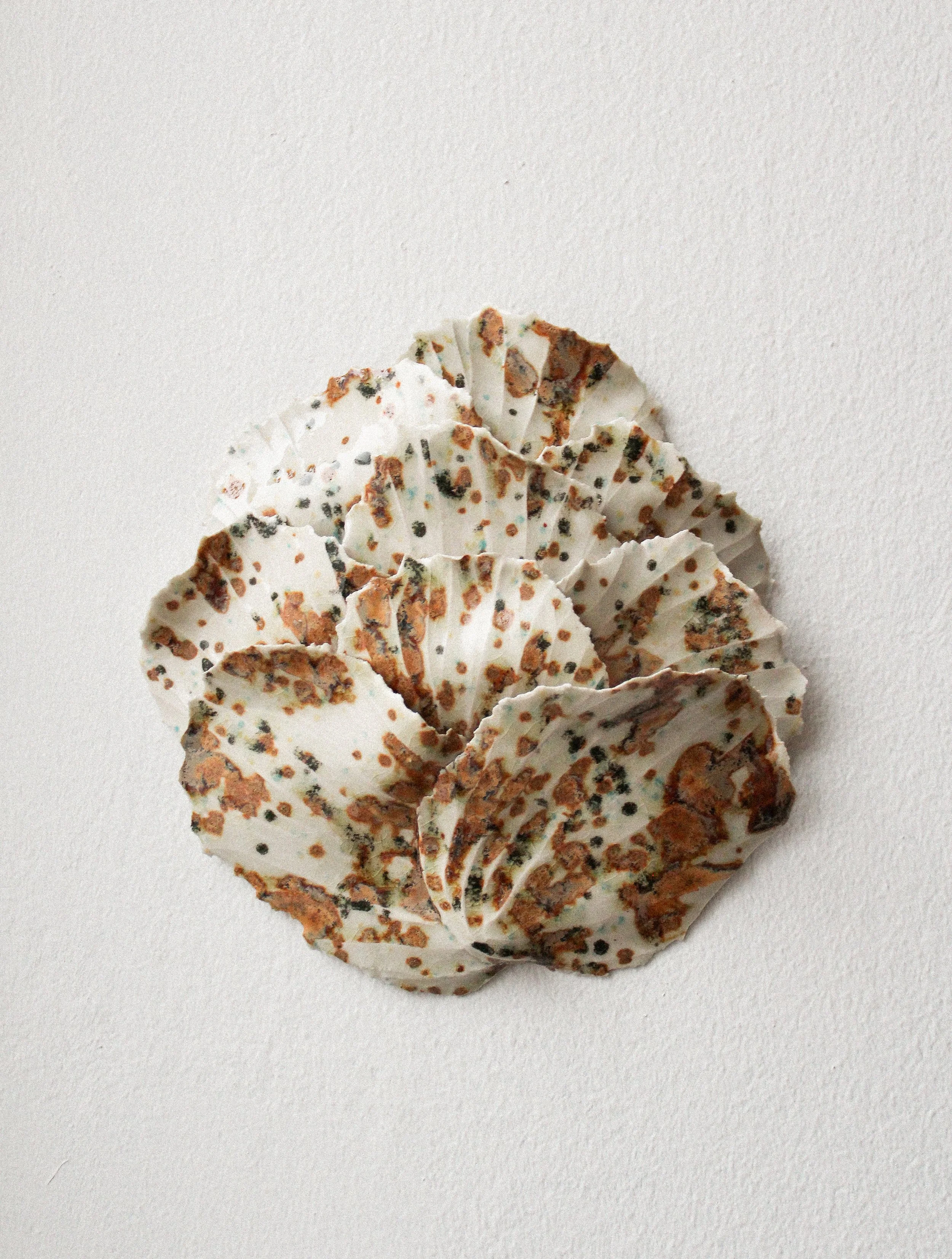 Meadow - Relief (Medium)