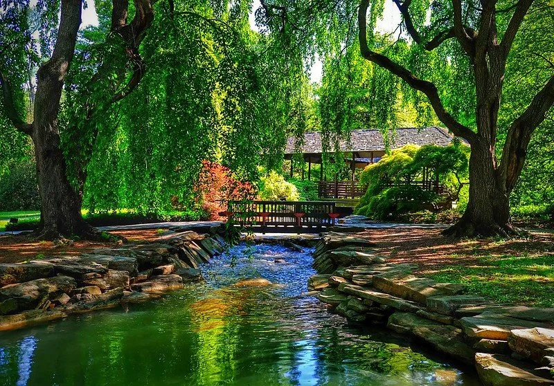 Garden.jpg