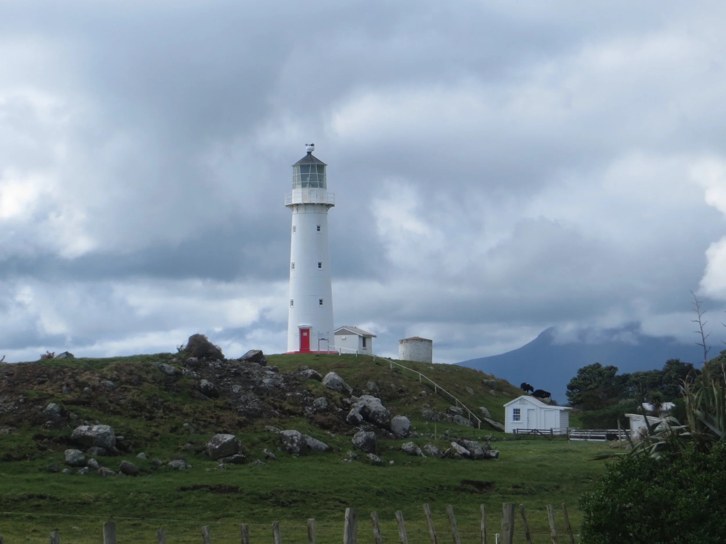 FullSizeRender (1).jpg