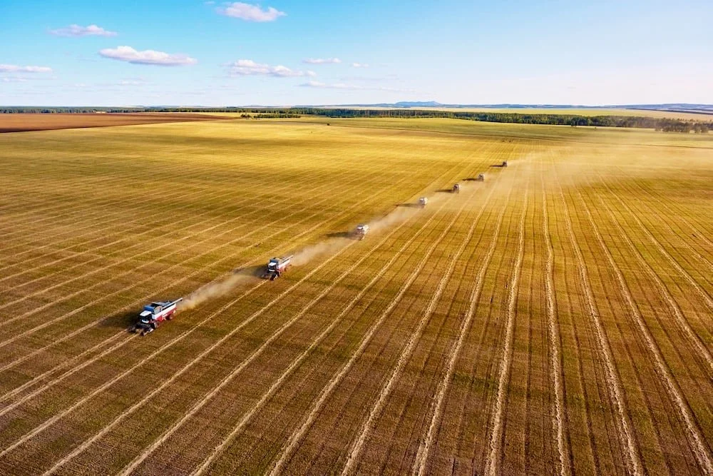 The Pivotal Role of Agriculture in Kazakhstan's Economy