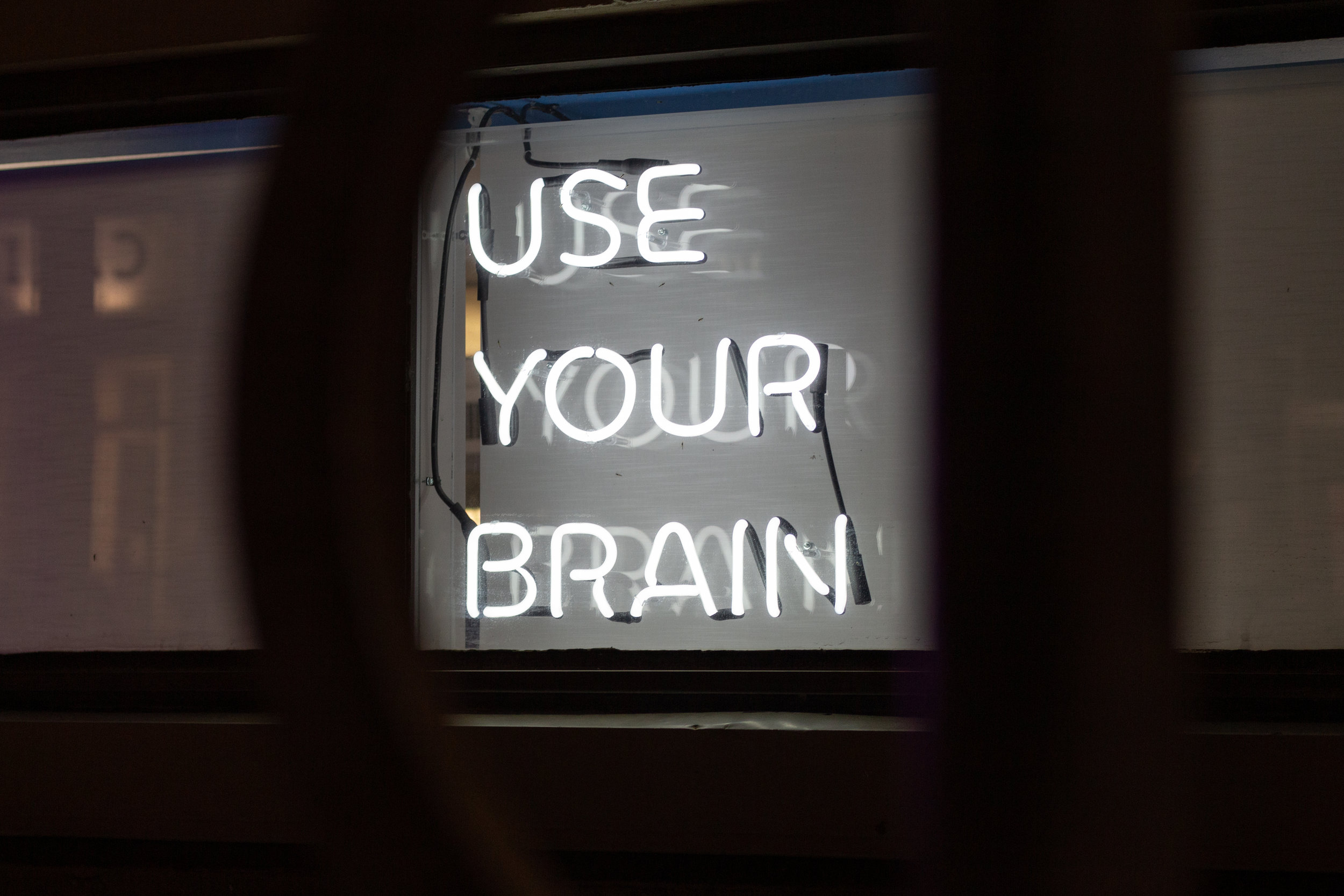 The Art of Brainwashing