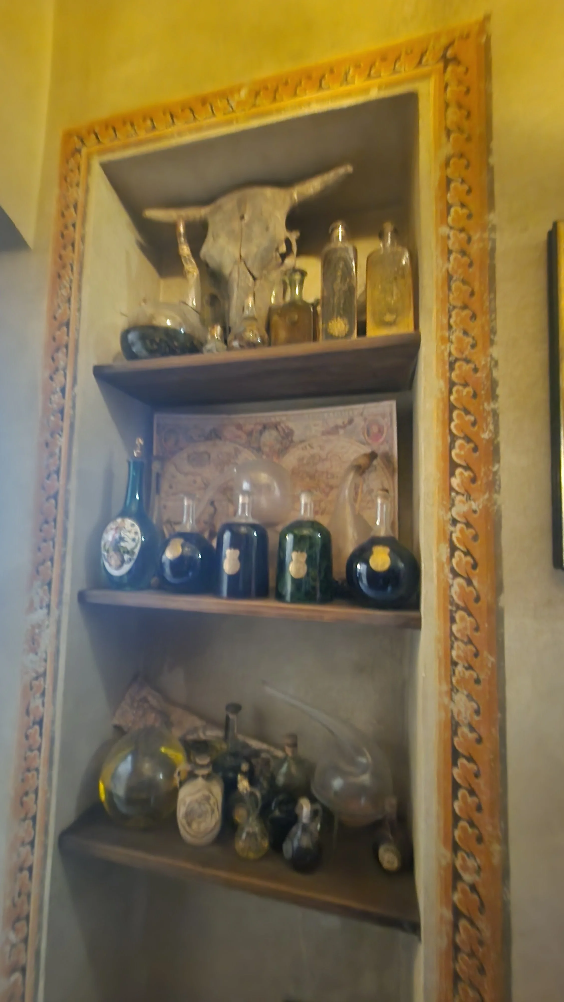 20260409_123341.jpg